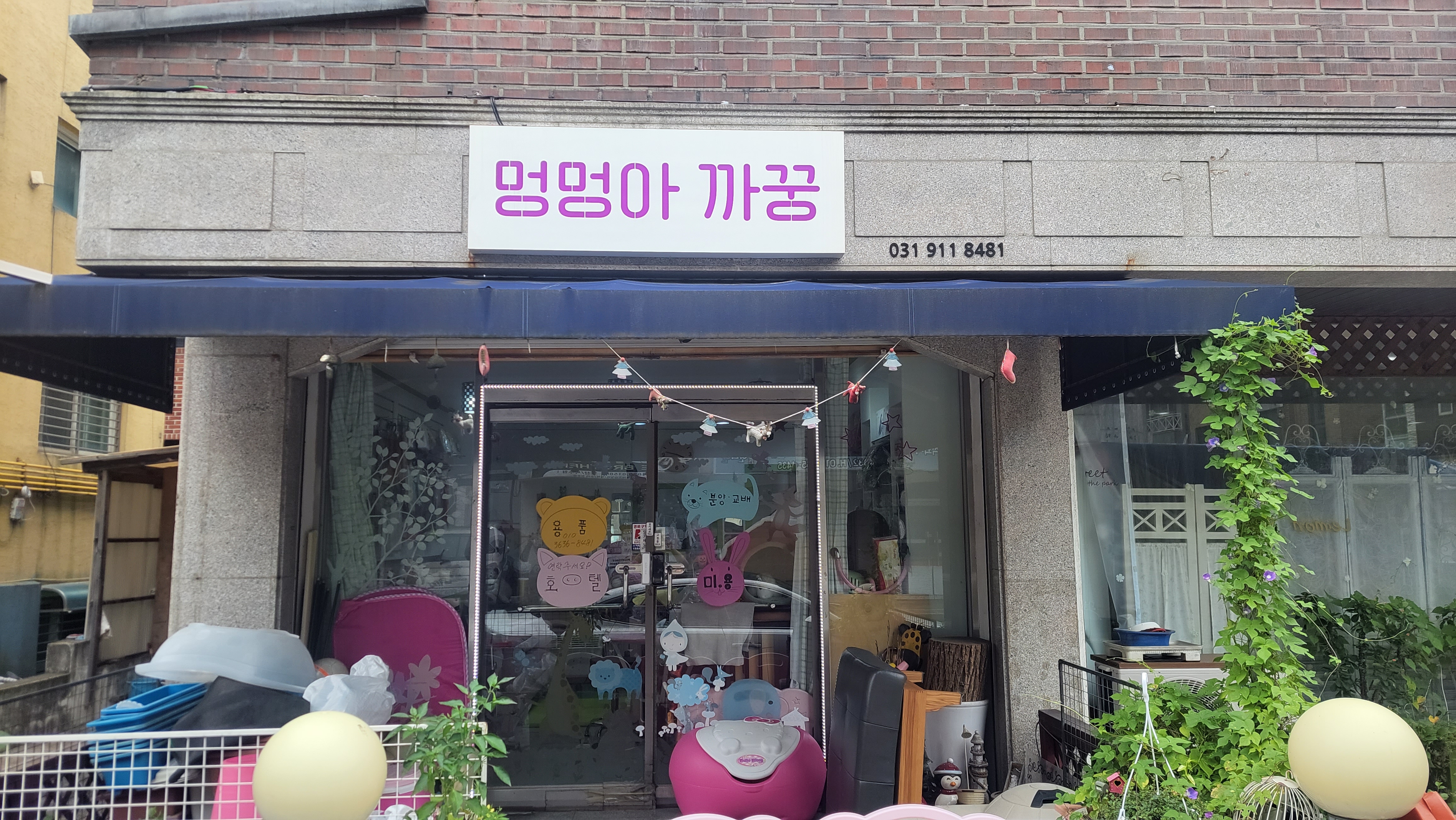 멍멍아까꿍 대표 이미지