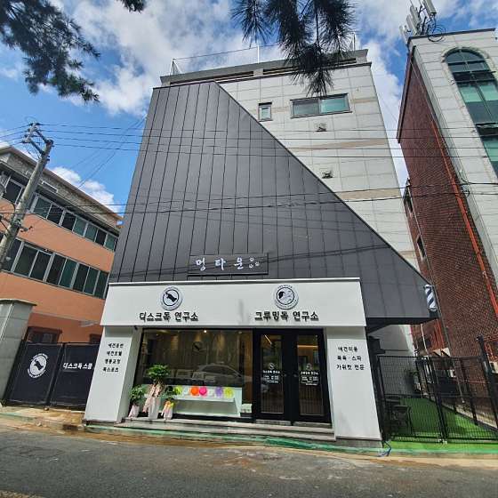 디스크독연구소