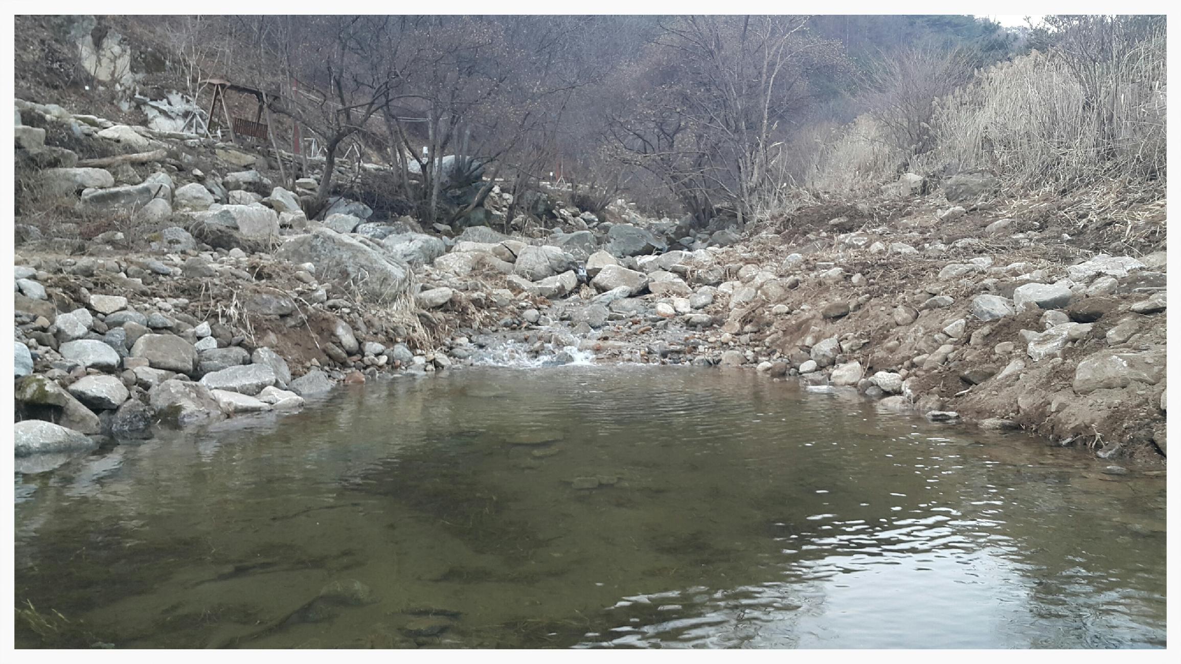 싸리목캠핑장