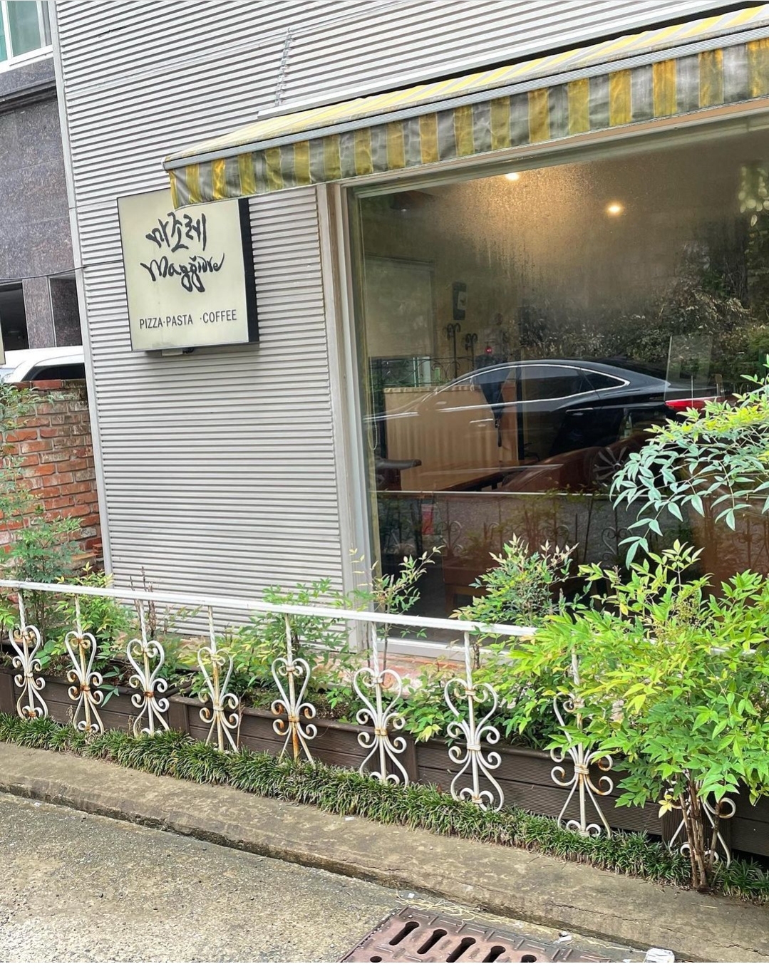 마조레