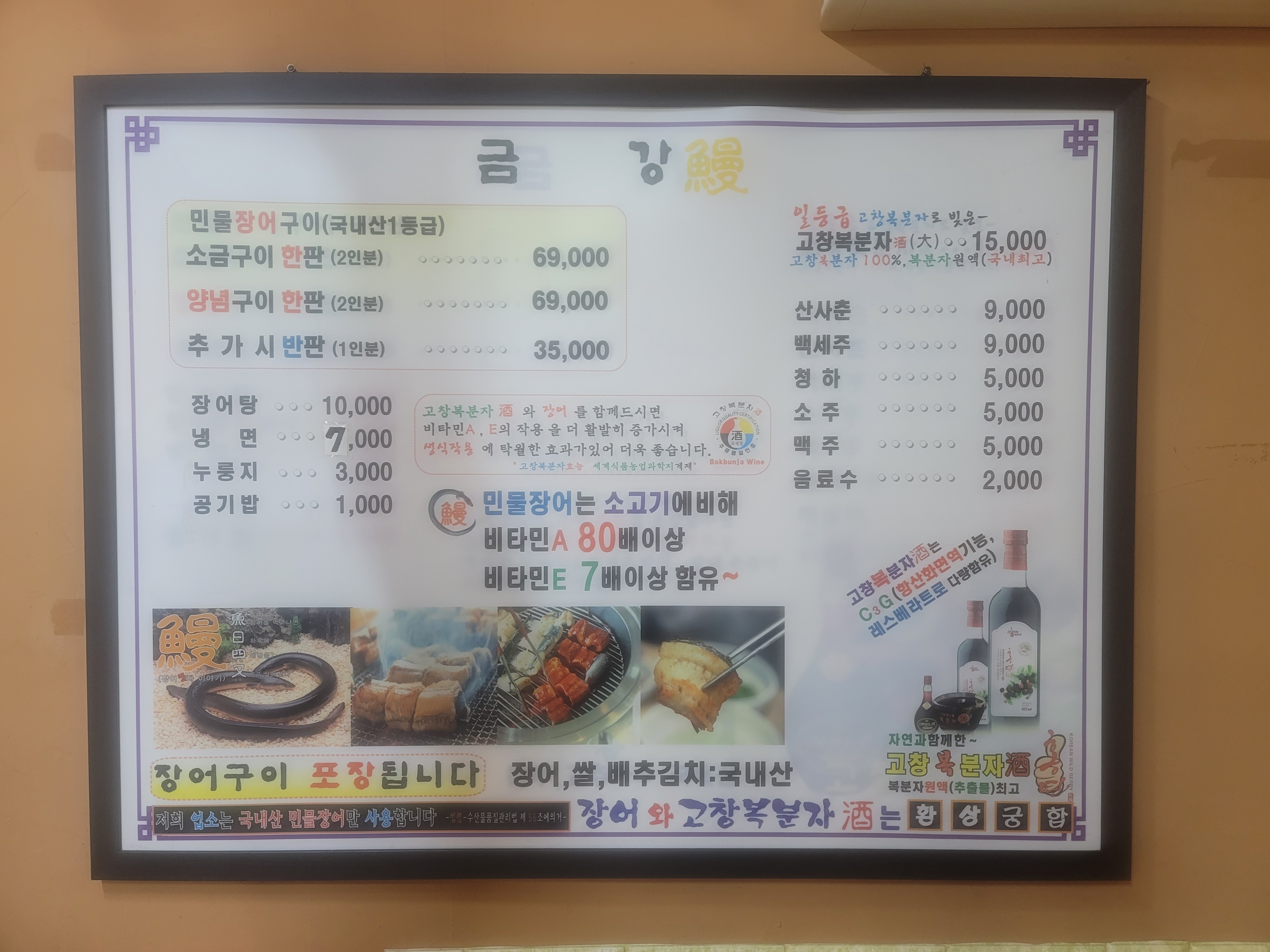 금강민물장어
