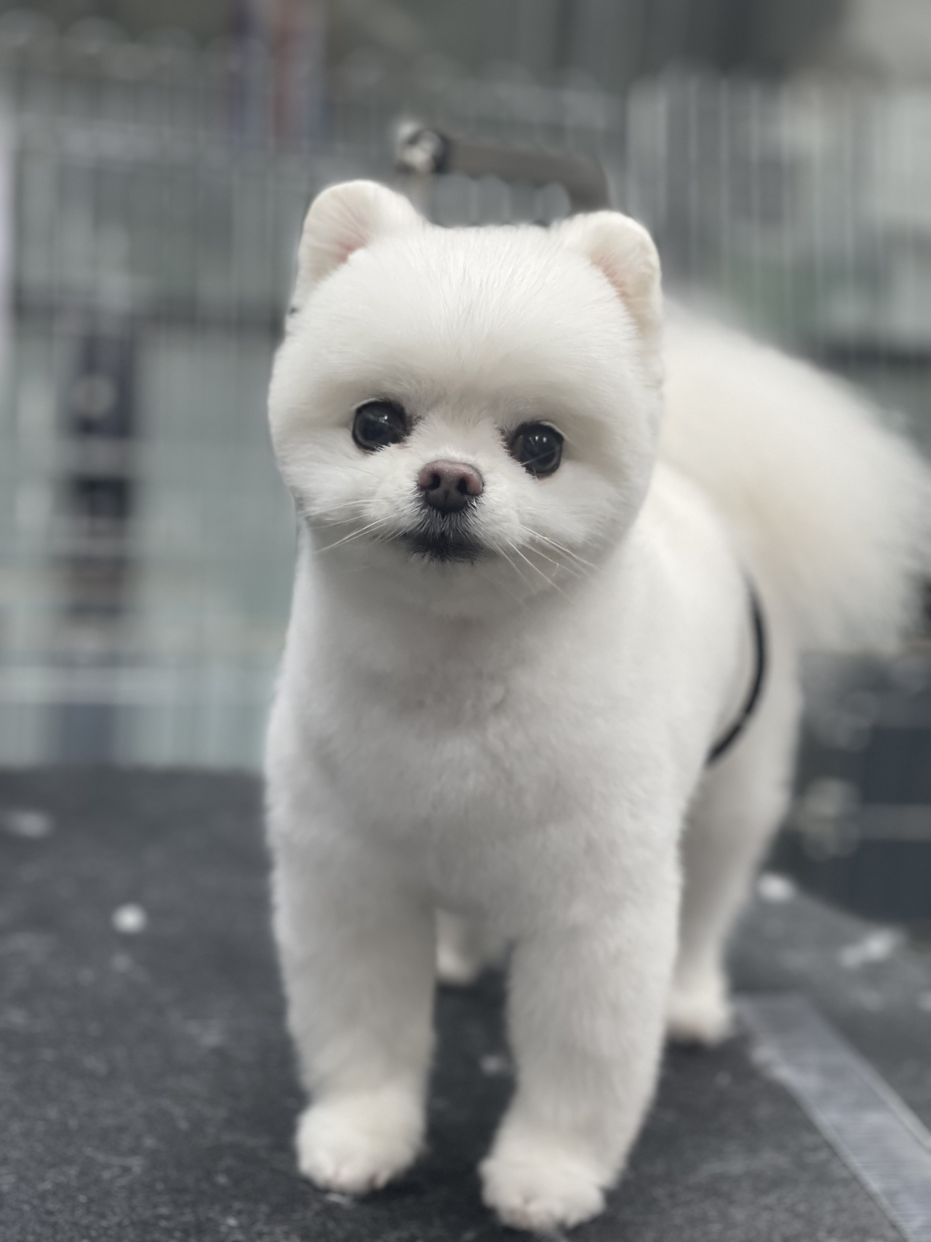 블루큐브