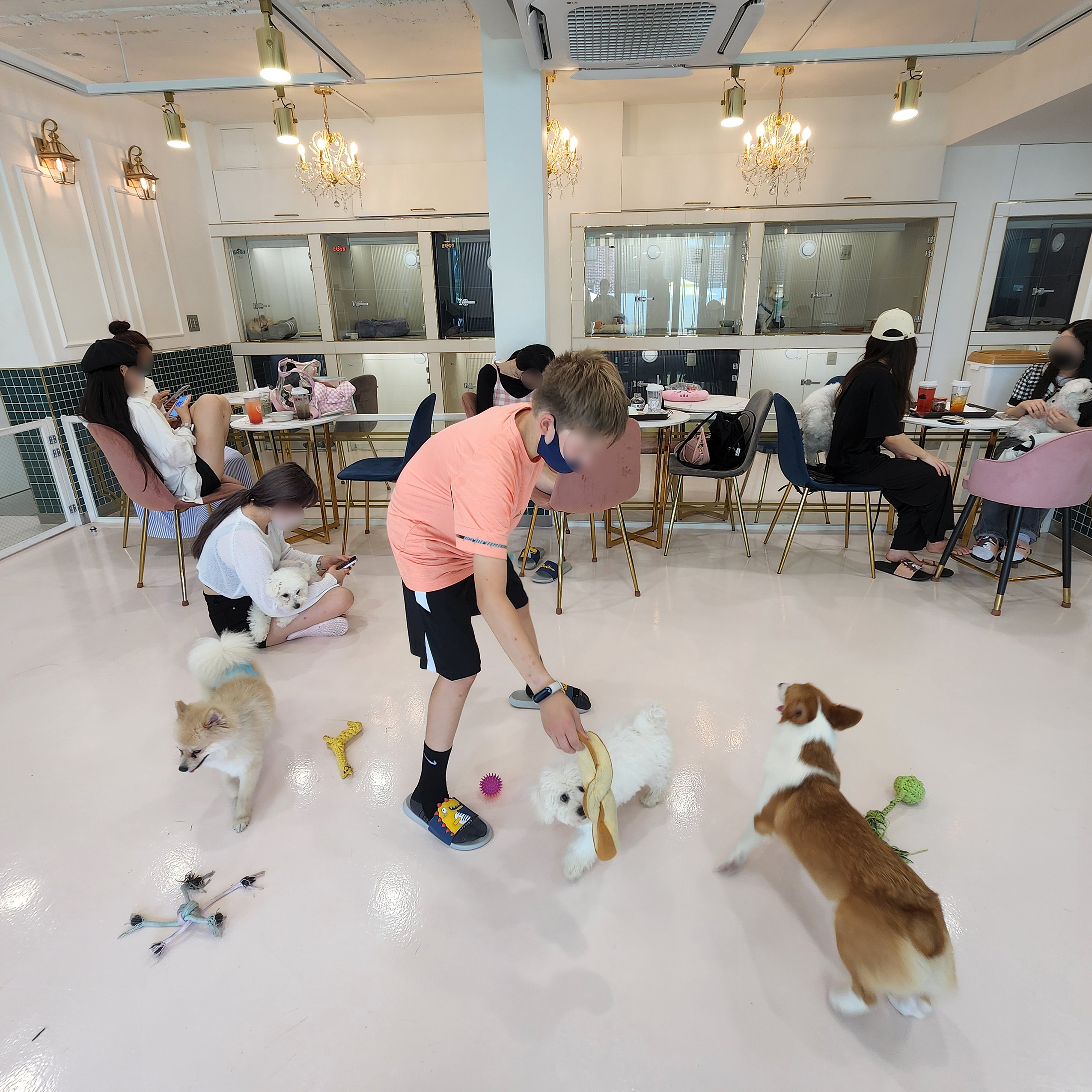 아이조아펫파크 서울점