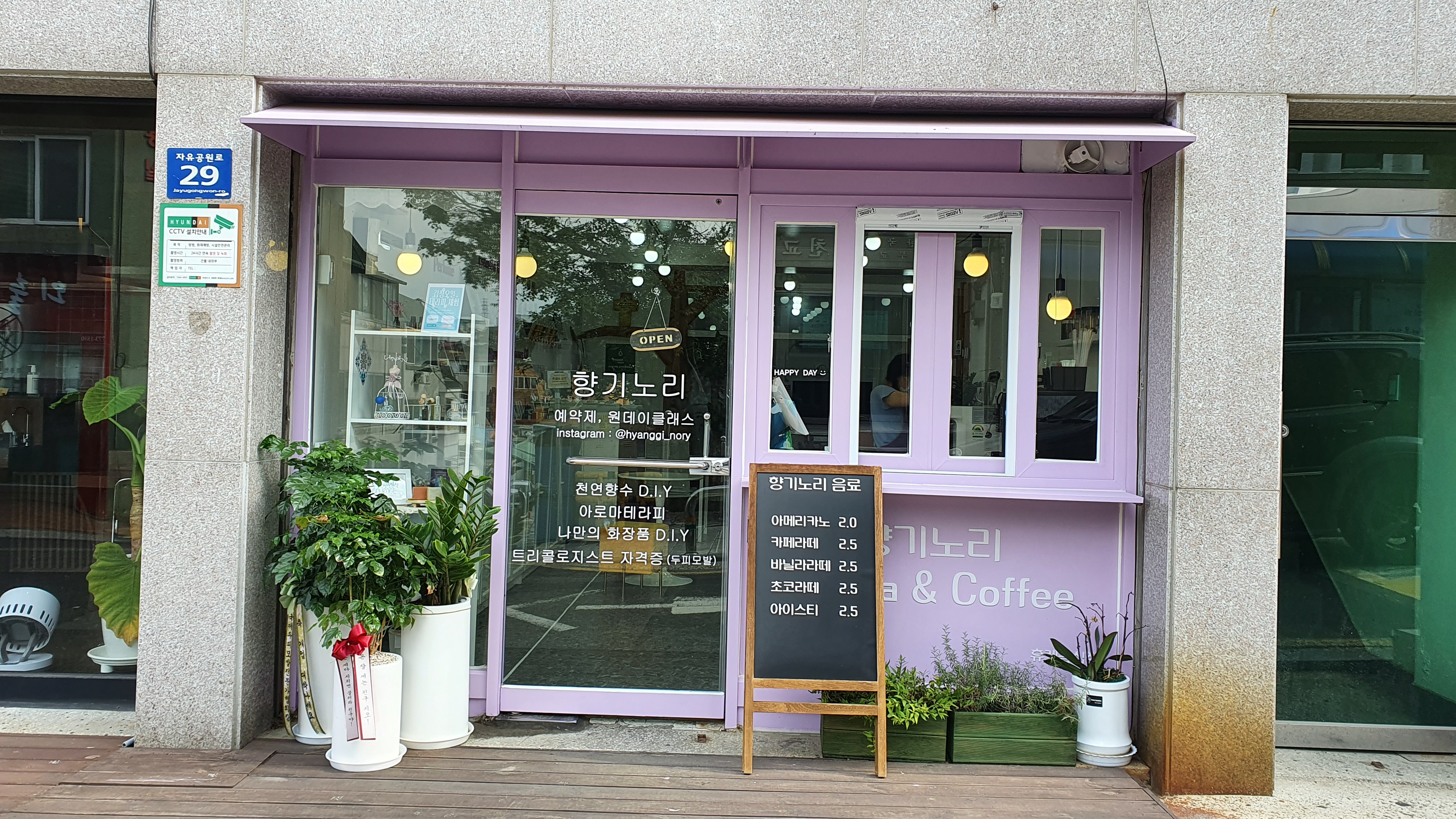 향기노리