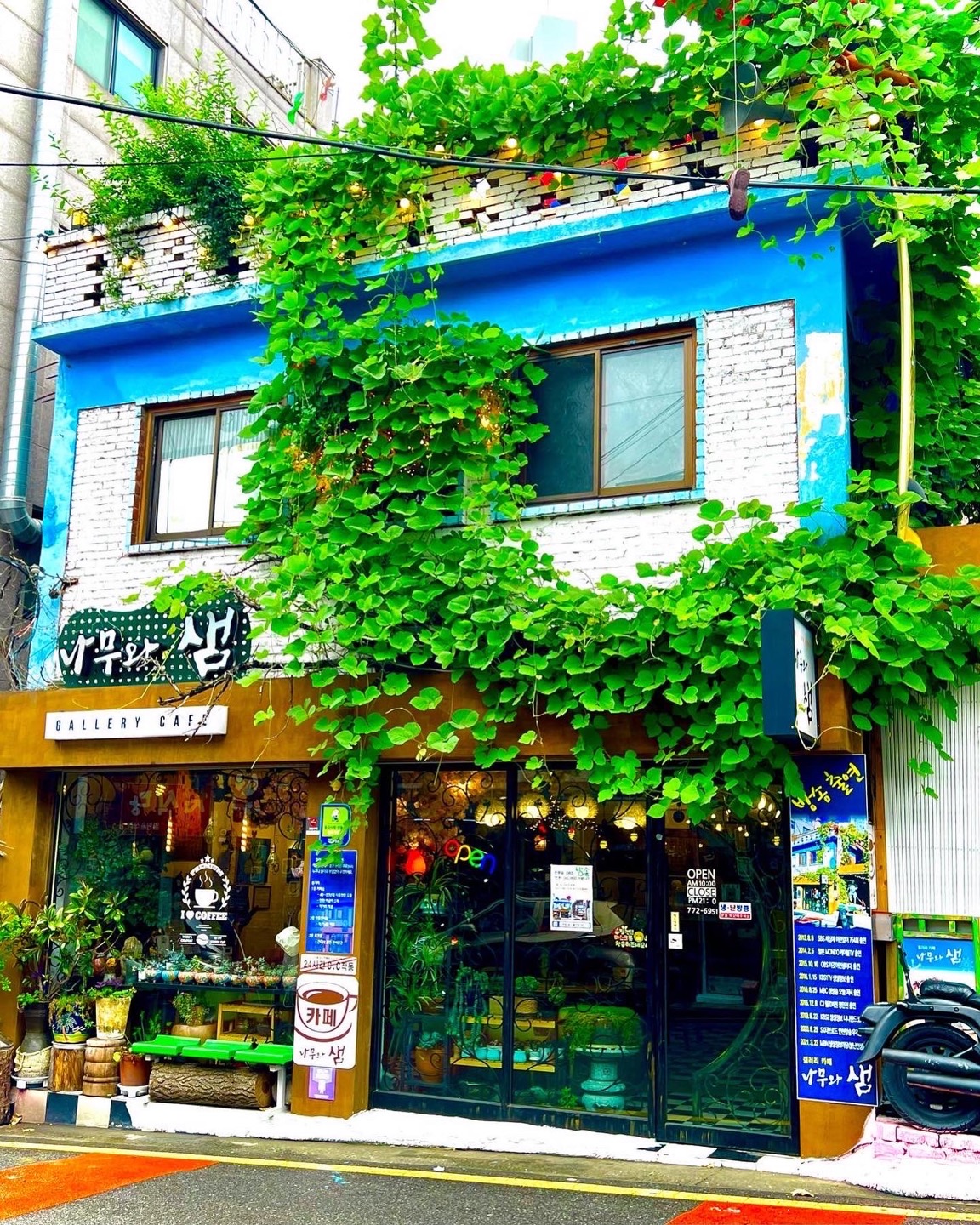 갤러리카페 나무와 샘