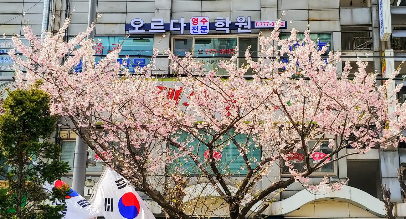 오르다학원