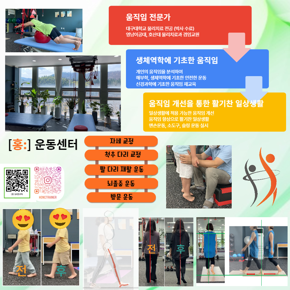 홍운동센터 대표 이미지