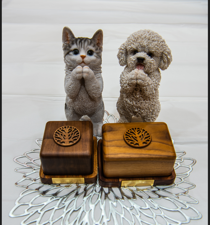 펫집사 대표 이미지