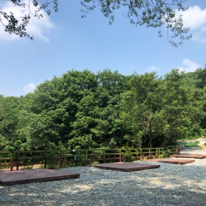 용인 둥지골 캠핑장