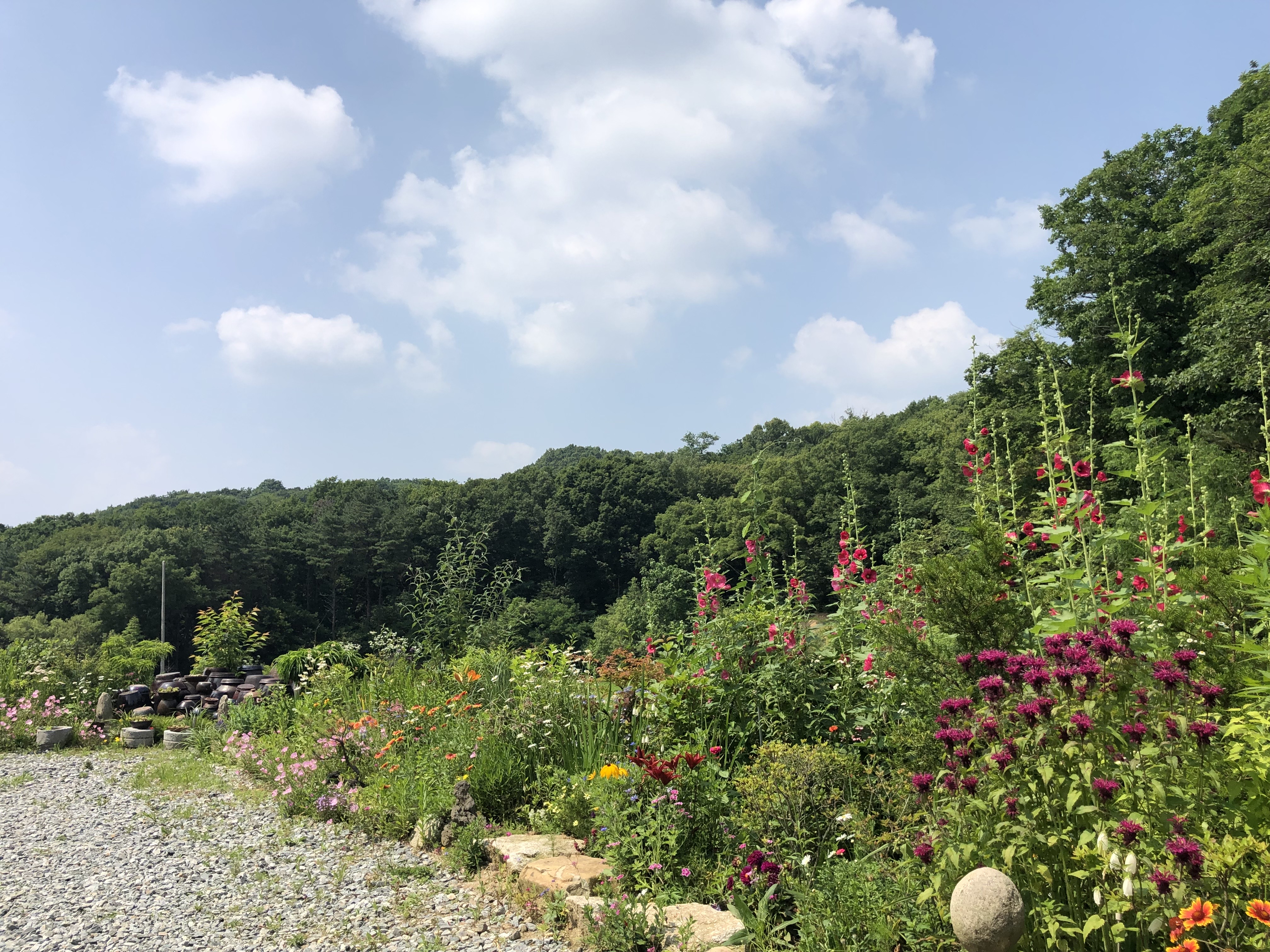 용인둥지골캠핑장