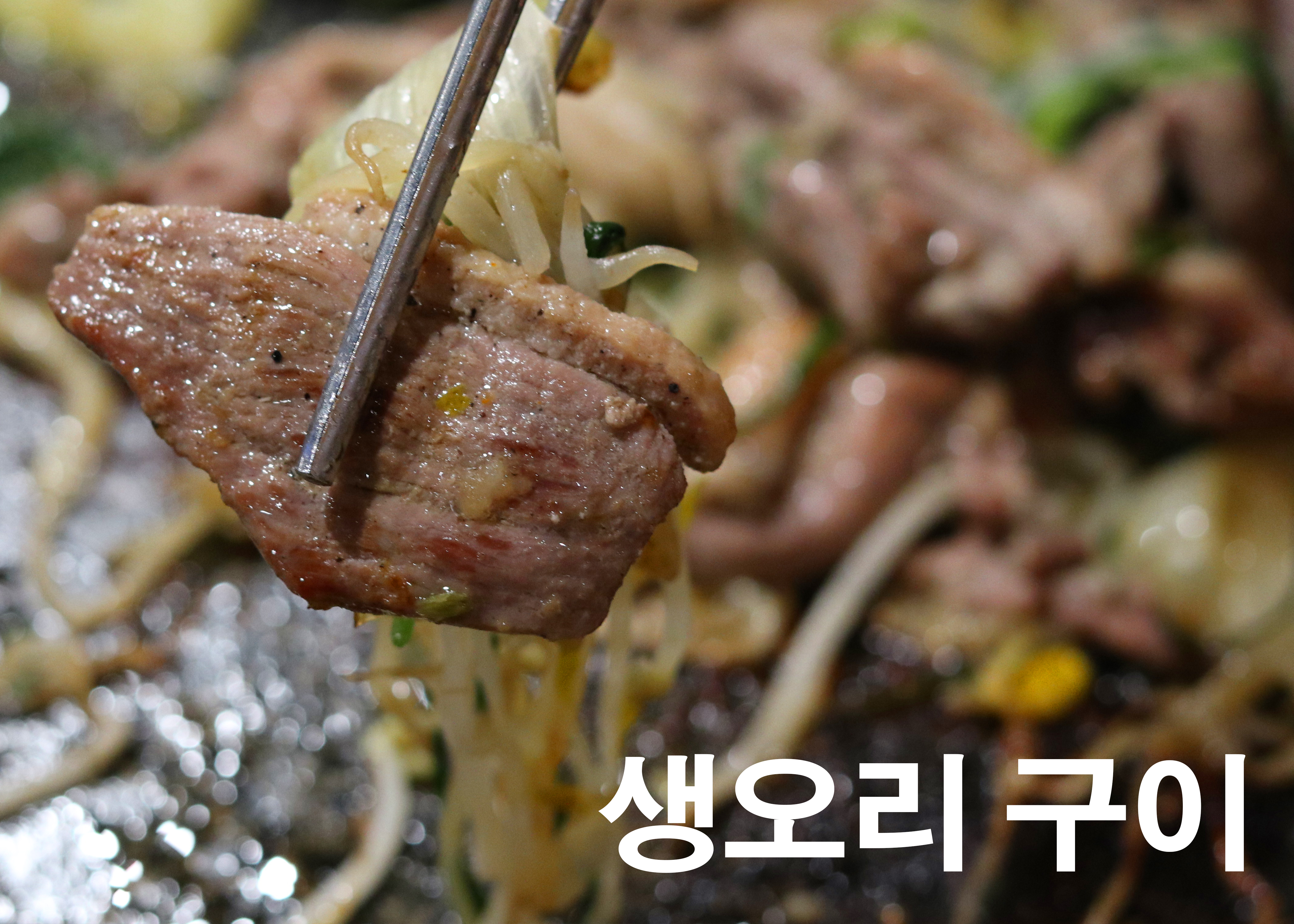 온정 신사 왕 돌판 오리구이
