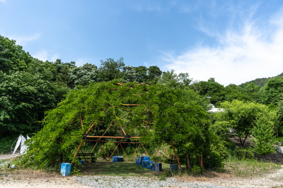 궁리소묻다