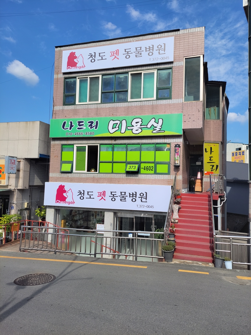 청도펫동물병원 대표 이미지