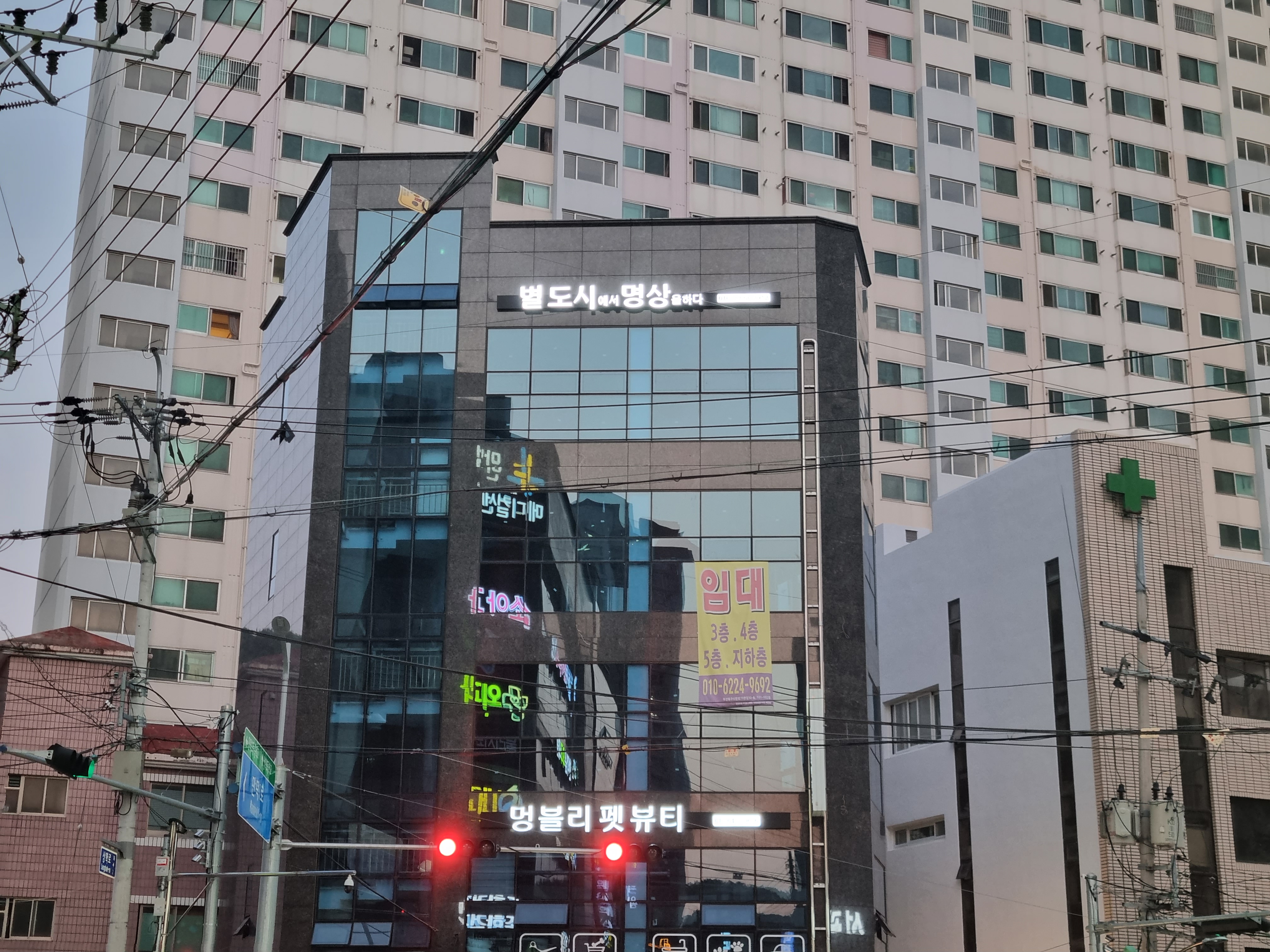 별도시에서명상을하다