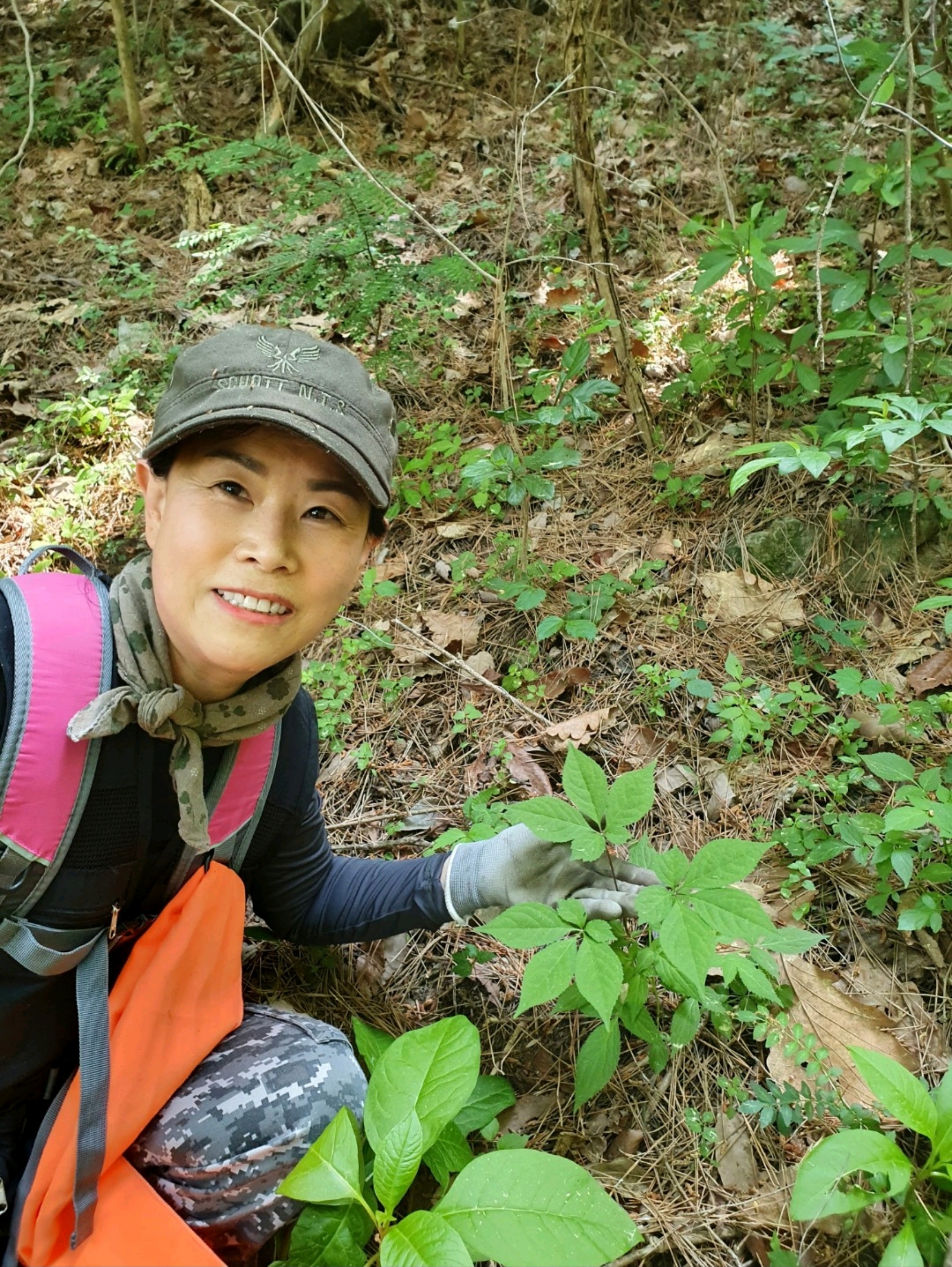 심마니산약초