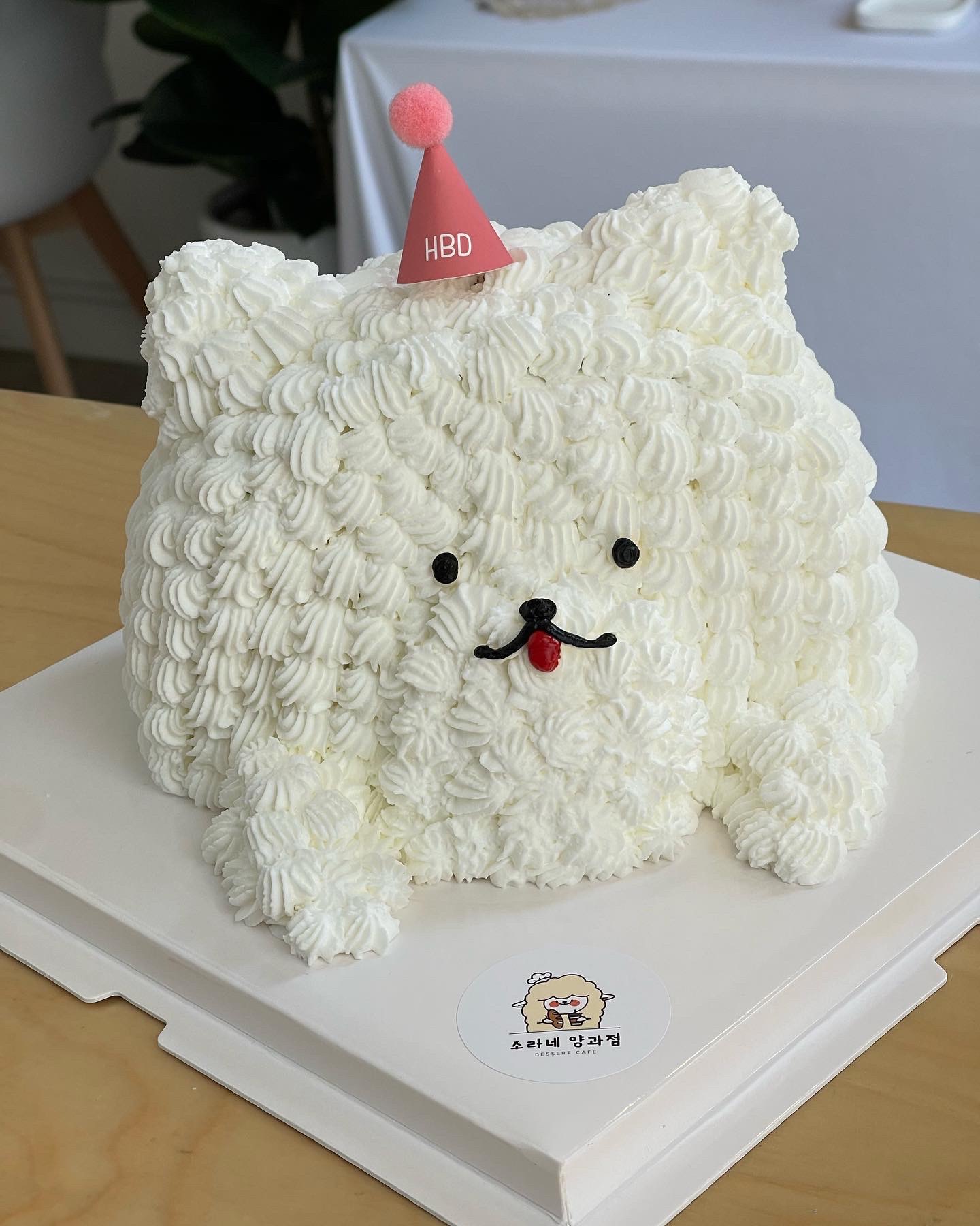 카페소라 이미지