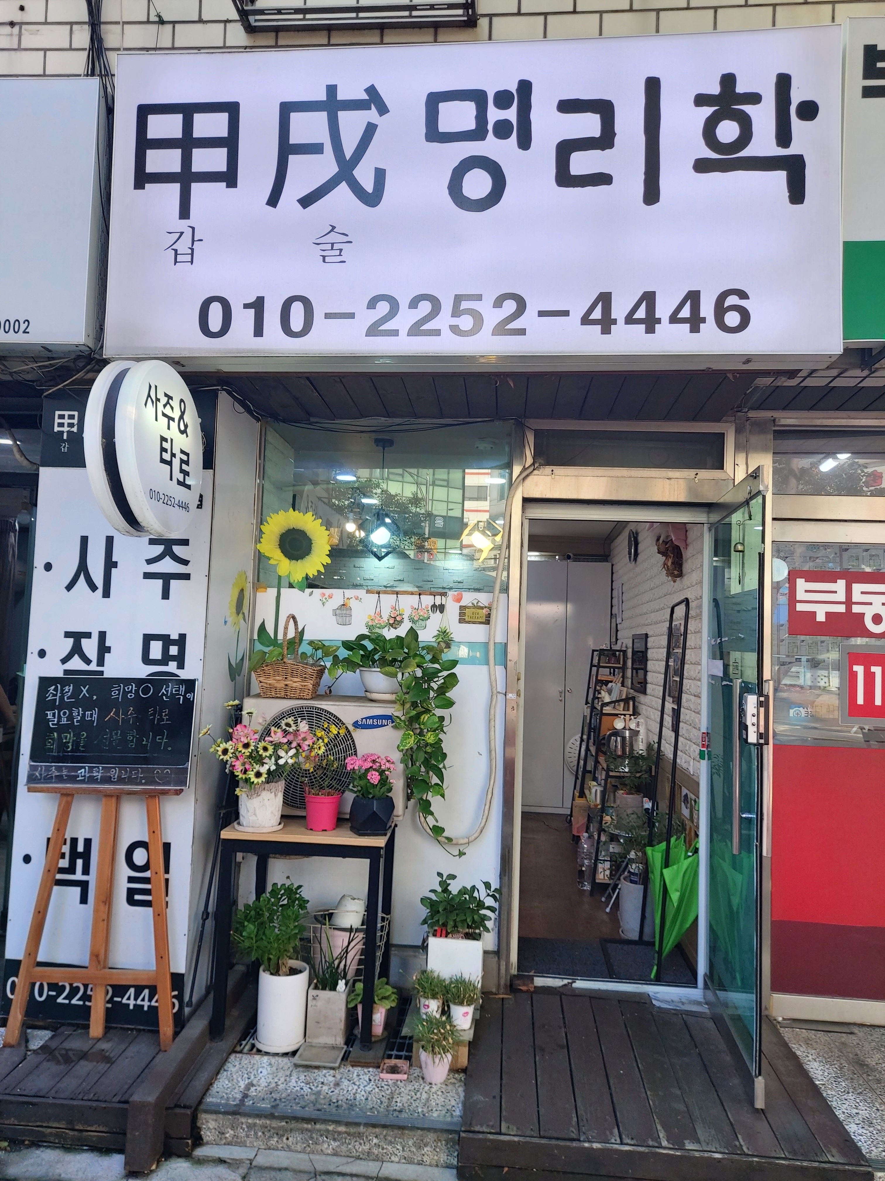 갑술명리학