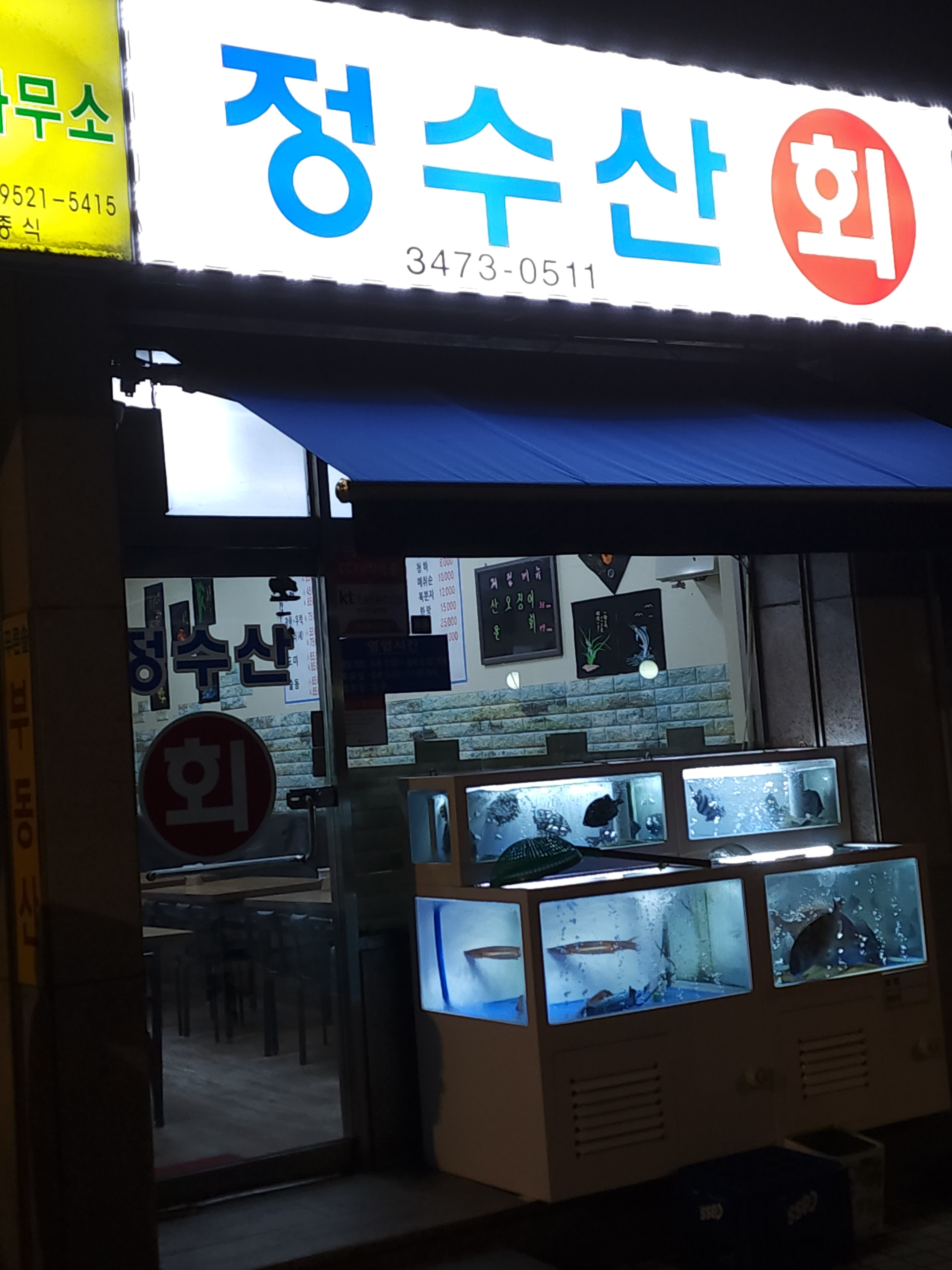 정수산회오징어