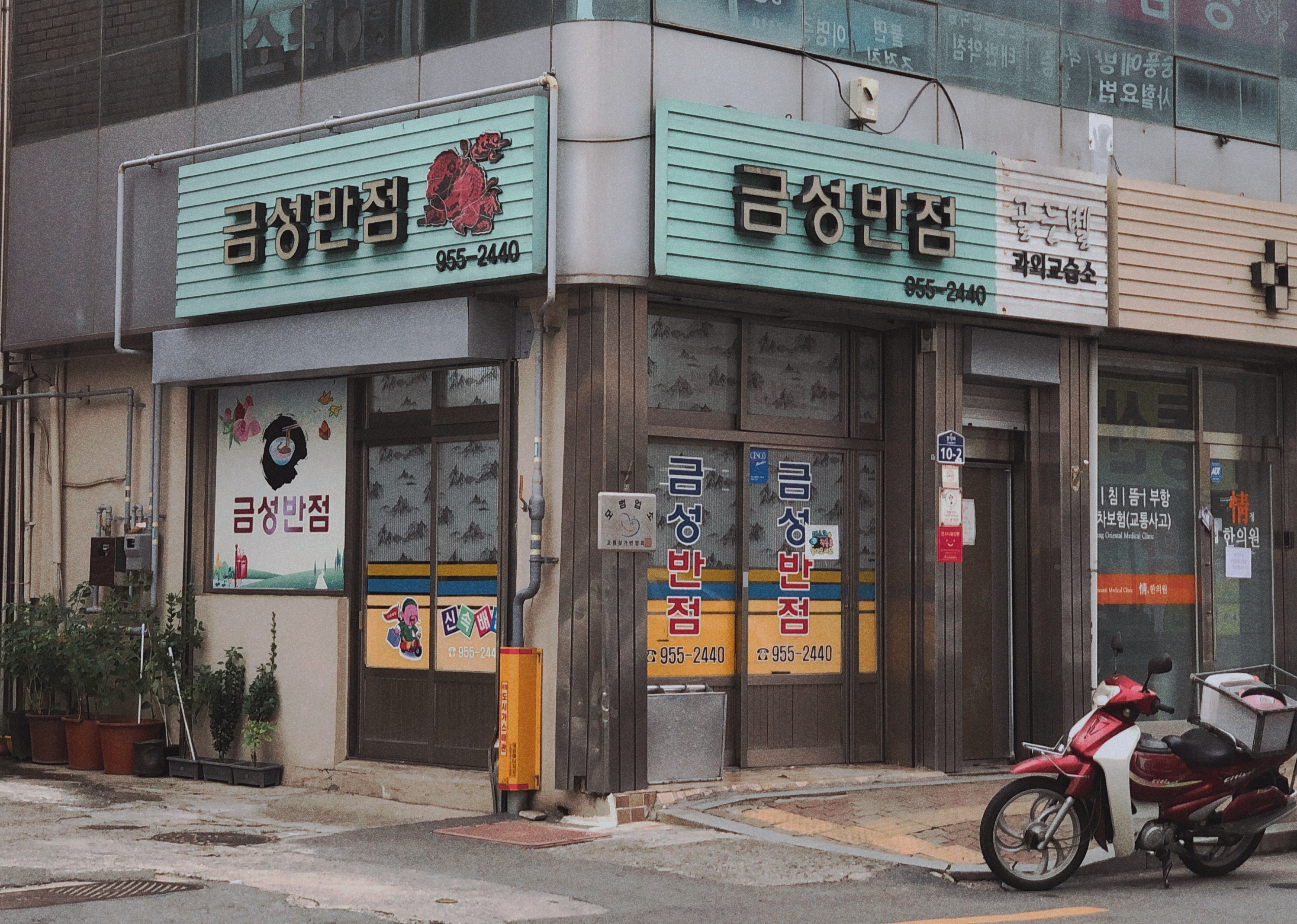 금성반점
