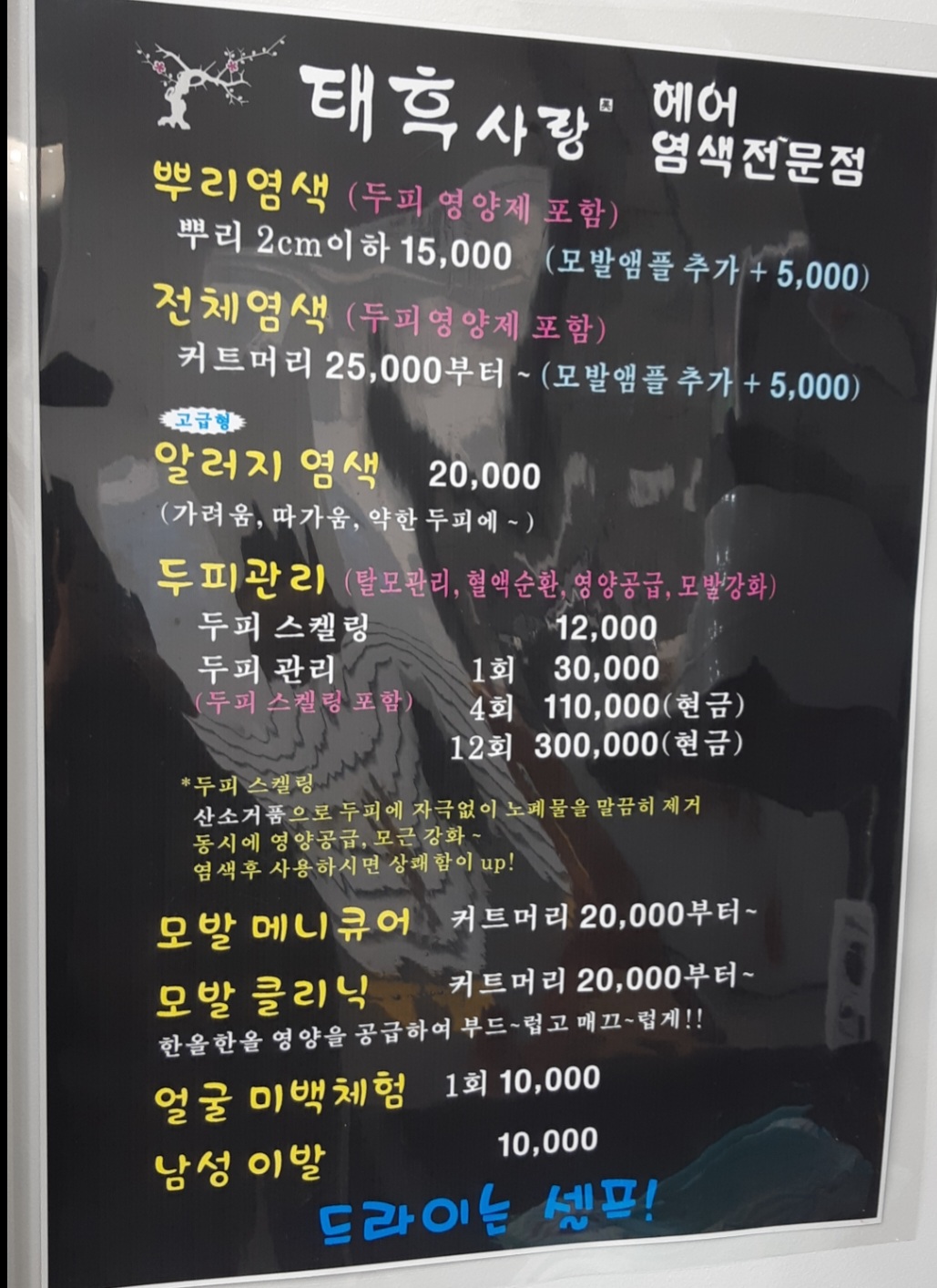 태후사랑