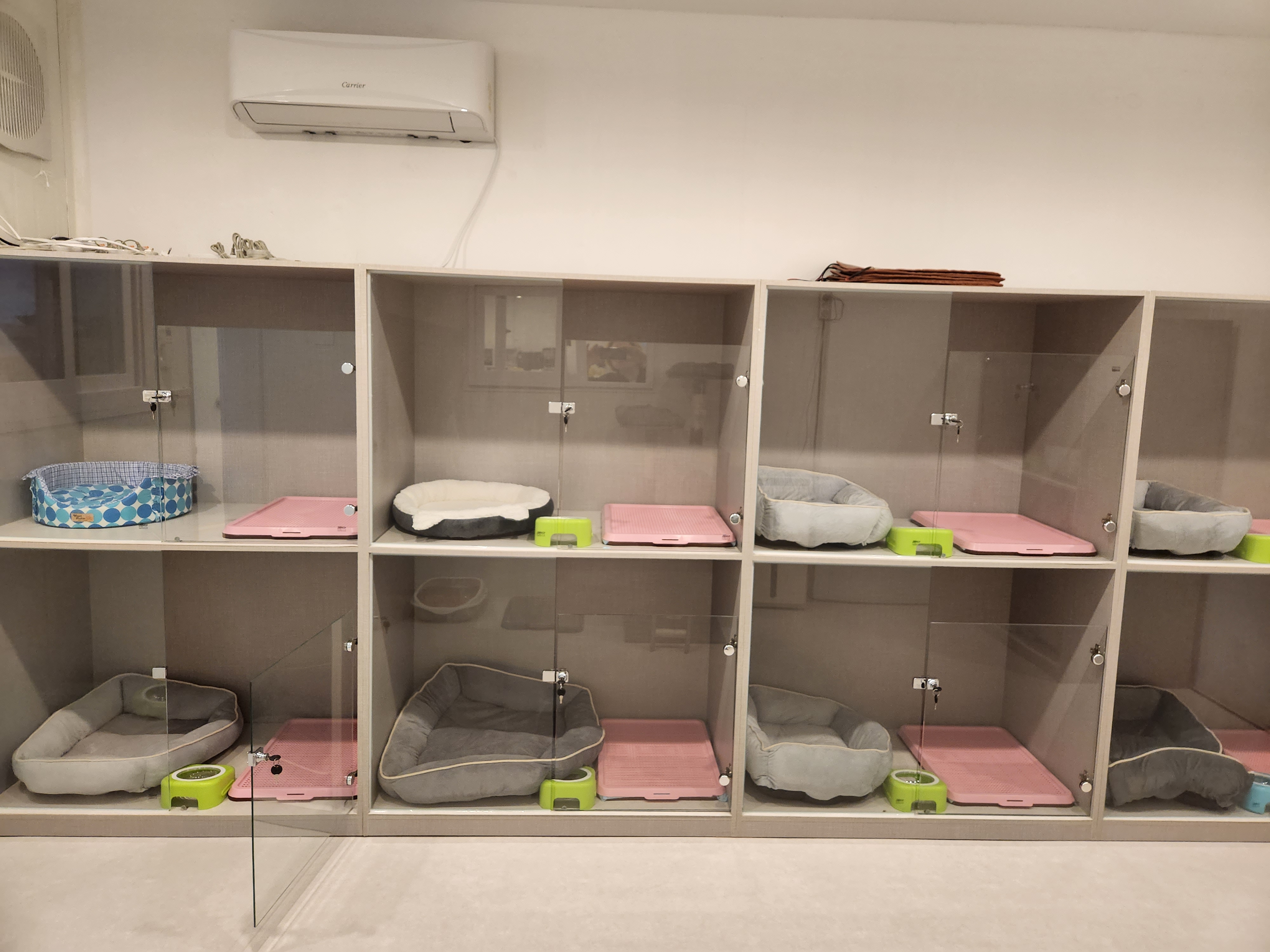 콩콩'짱짱_댕댕이집 대표 이미지