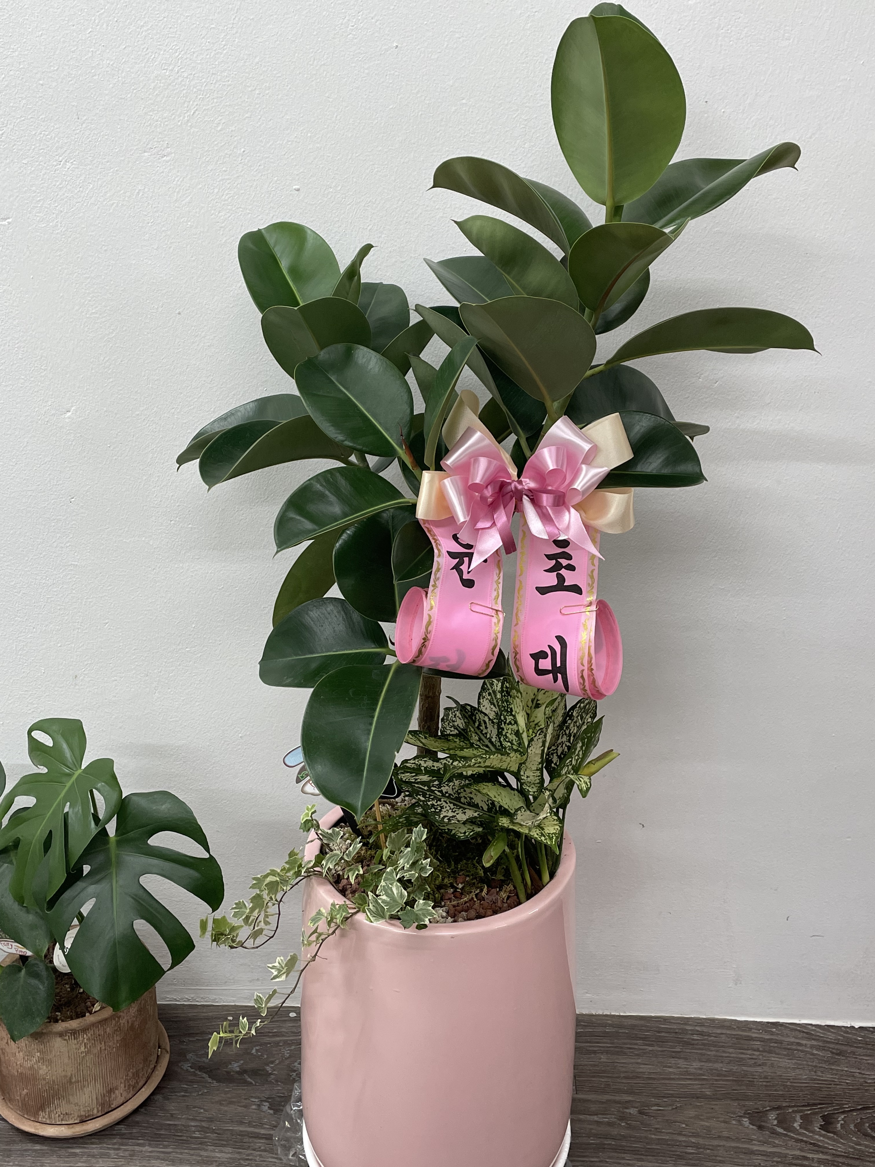 꽃피네