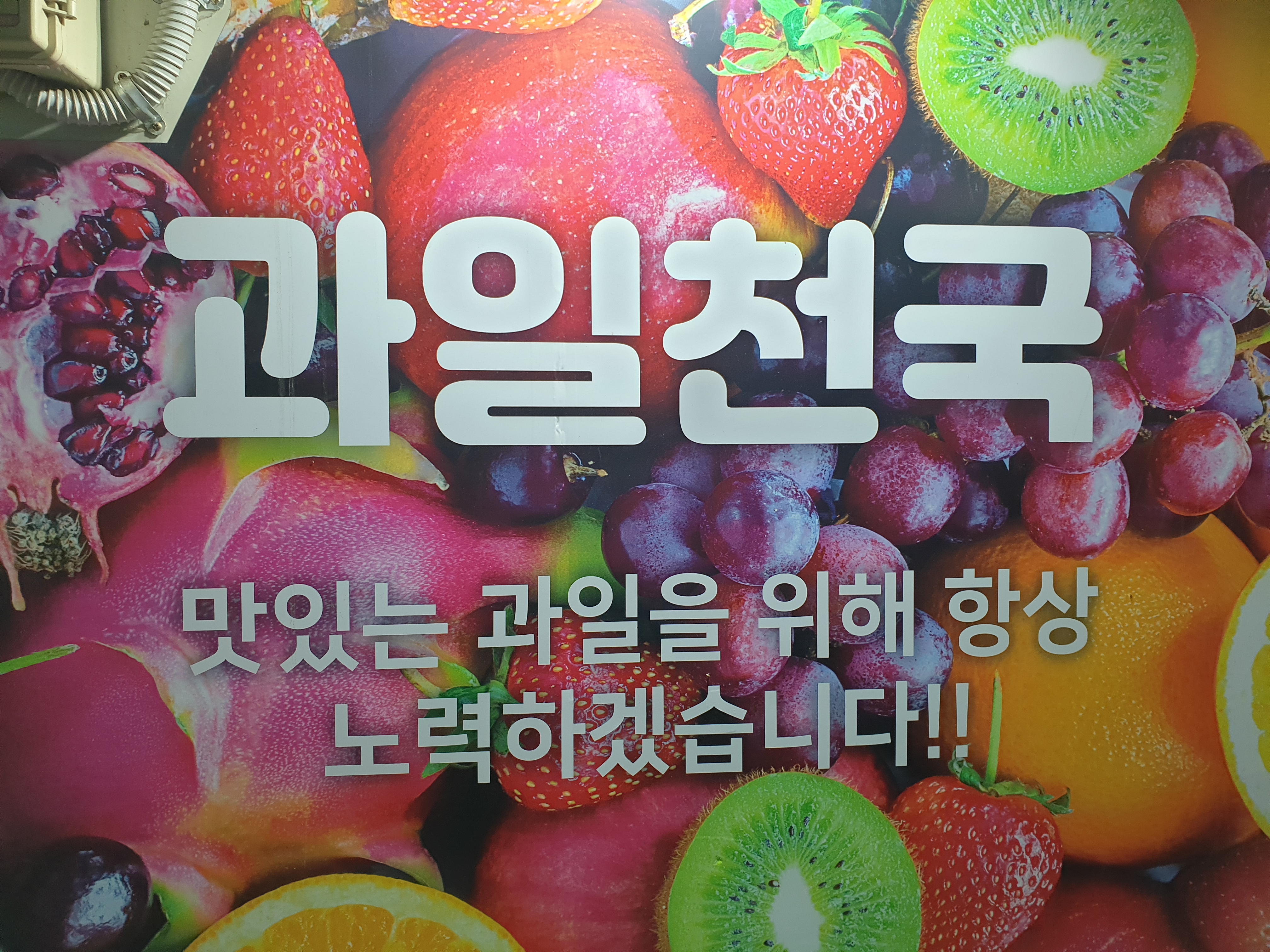 과일천국
