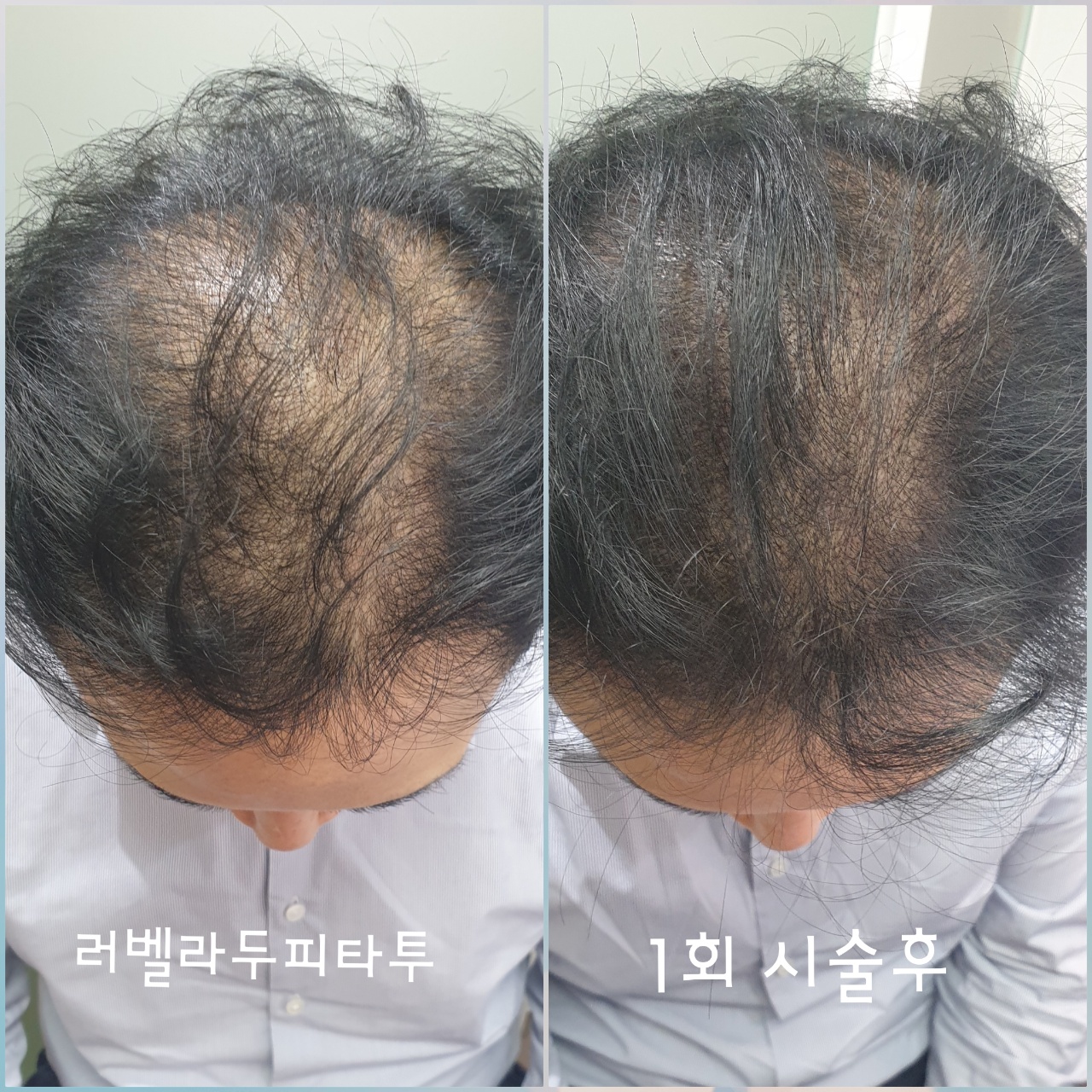 러벨라 대표 이미지