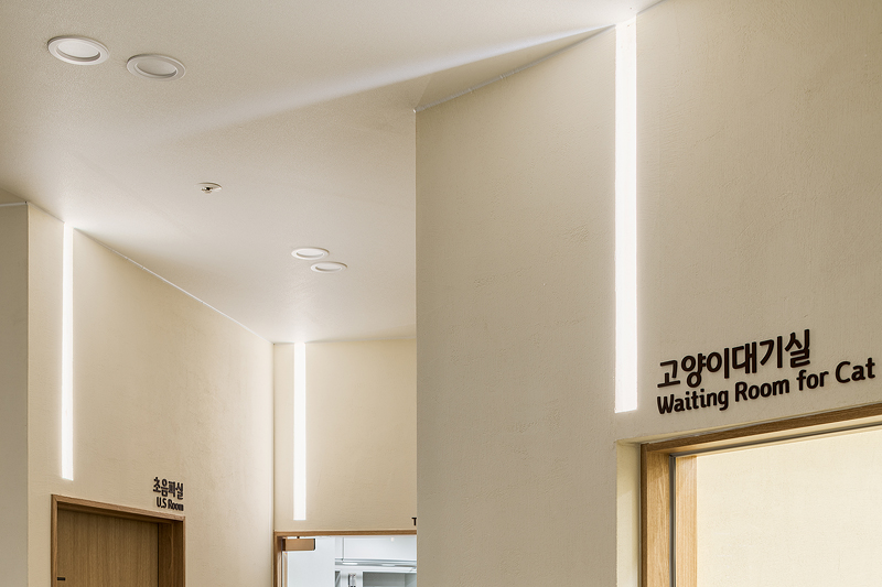 온아동물의료센터 대표 이미지