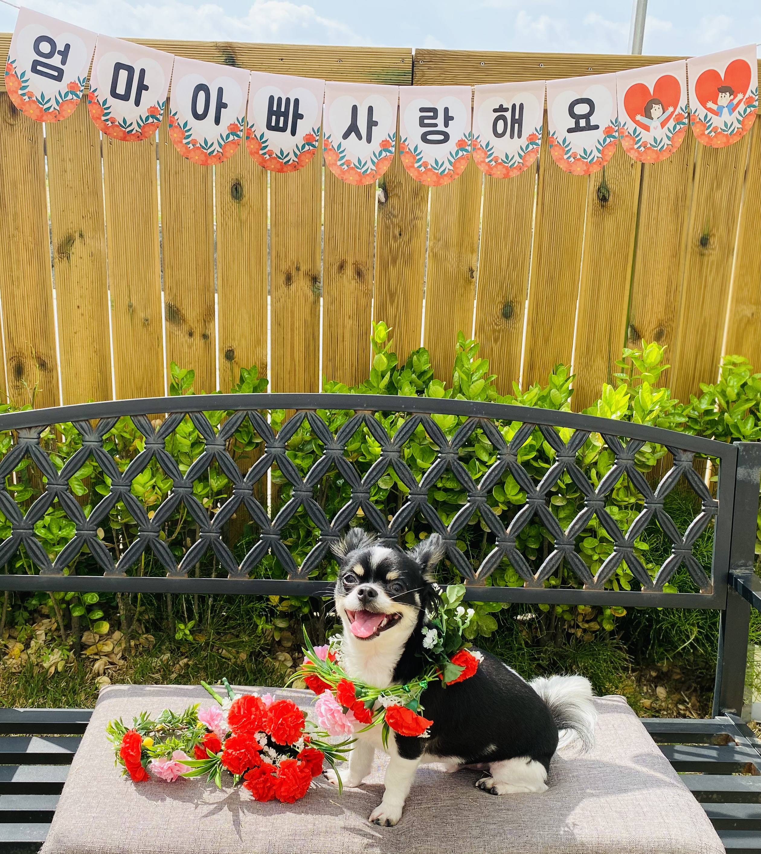 멍이학당 경기 애견여행지