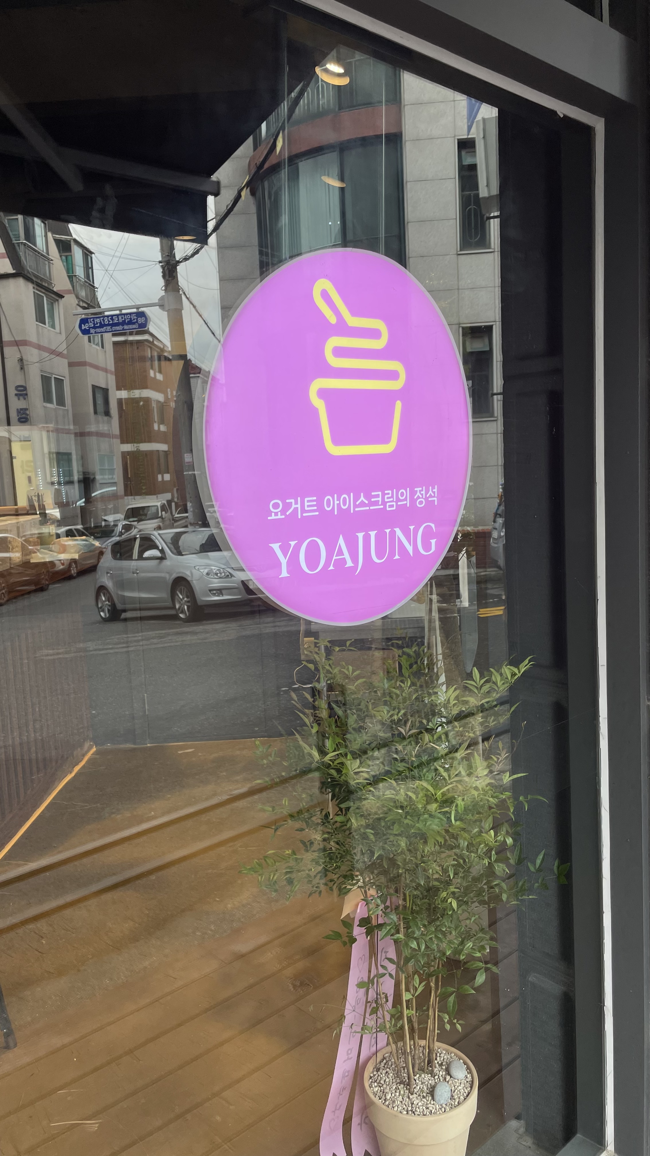요거트아이스크림의정석 안양시청점