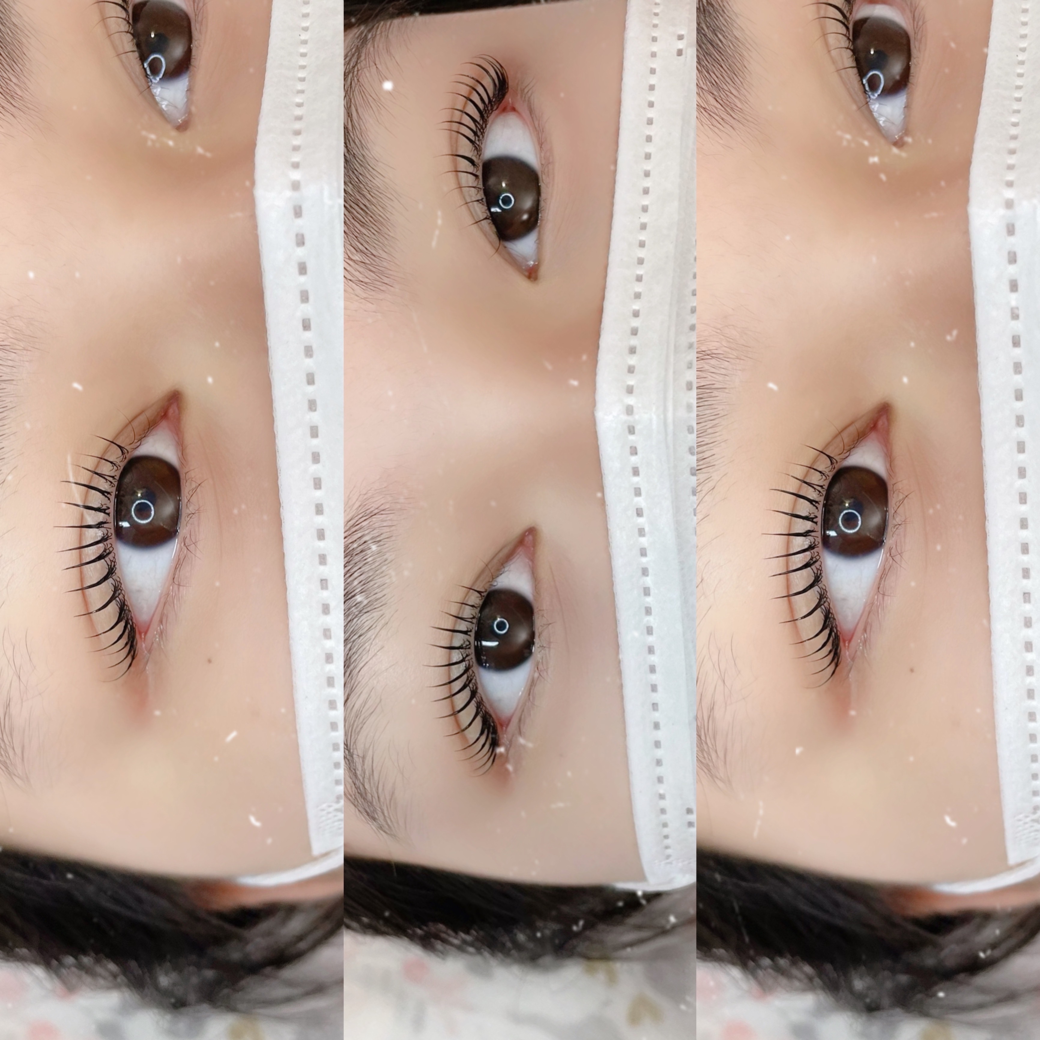 늘솜