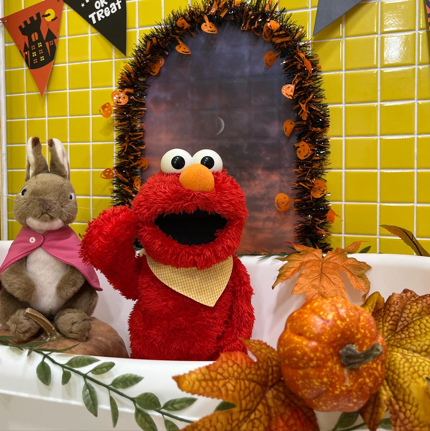 The이쁘개 더 이쁘개 대표 이미지