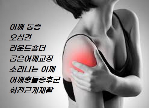 바른척추운동센터.재활운동.재활pt.체형교정