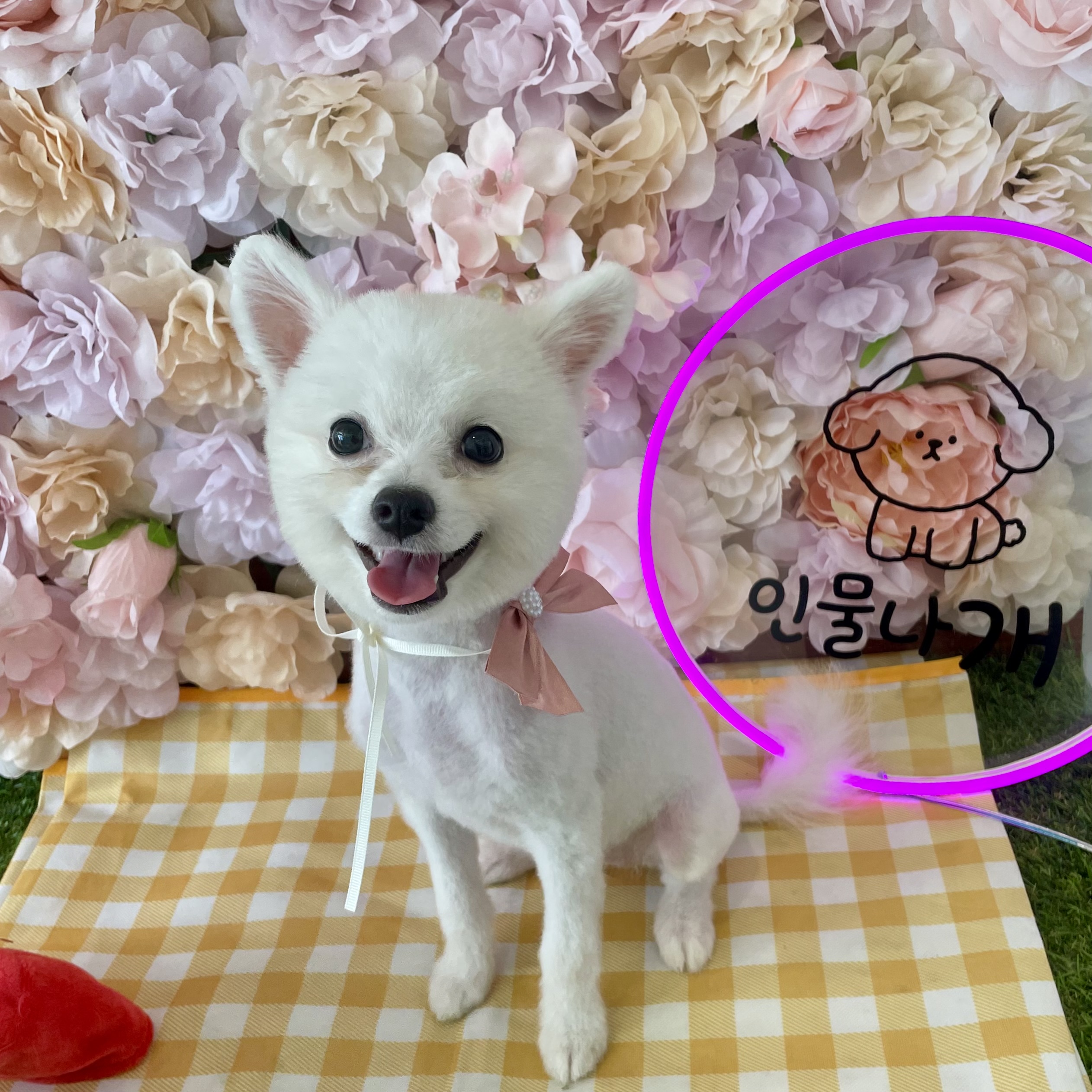 인물나개 대표 이미지