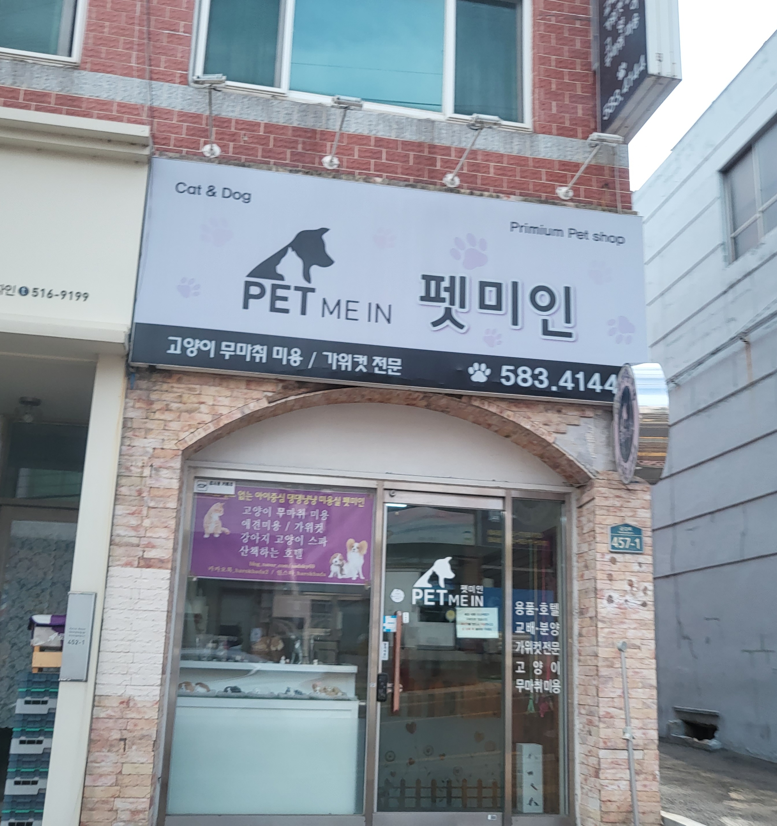 펫미인 대표 이미지