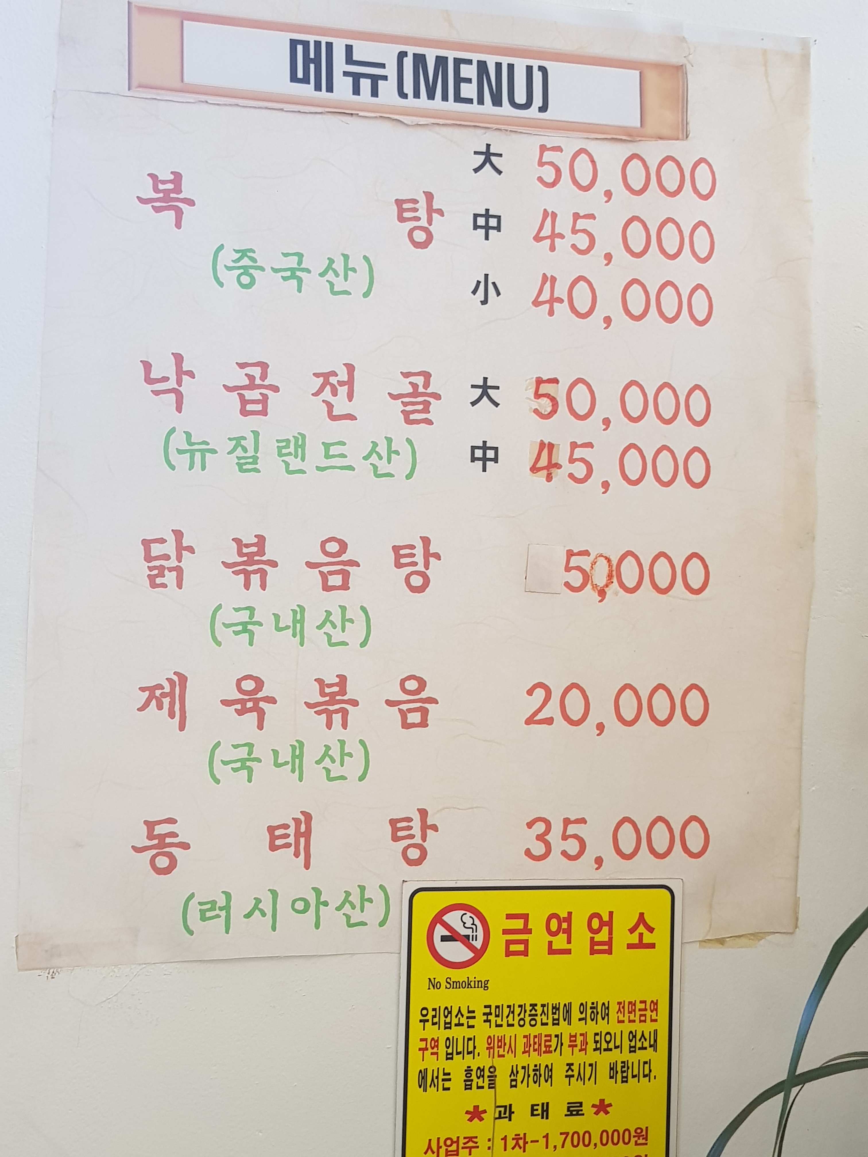양명 경상 애견맛집