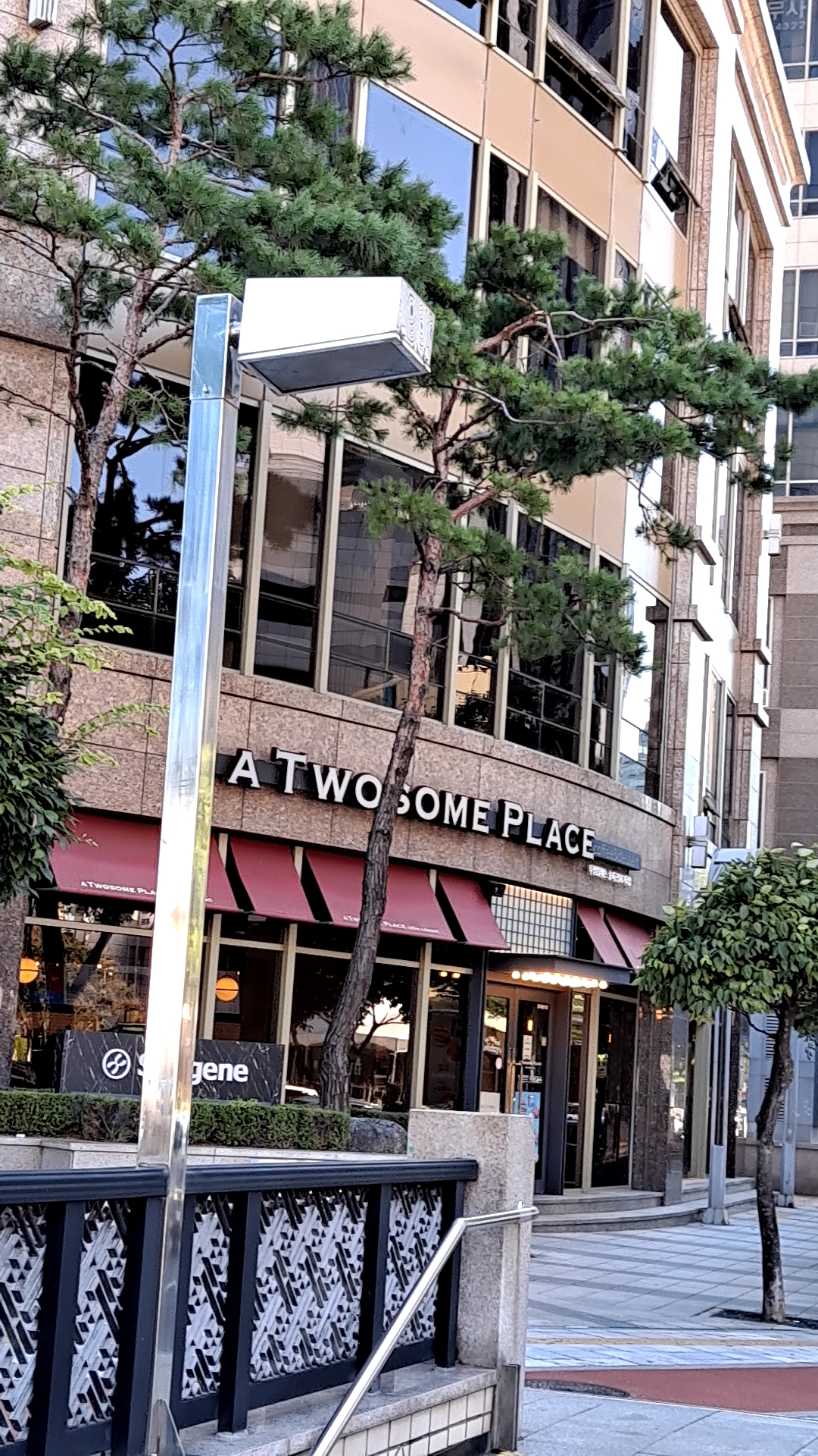 투썸플레이스 송파구청사거리점