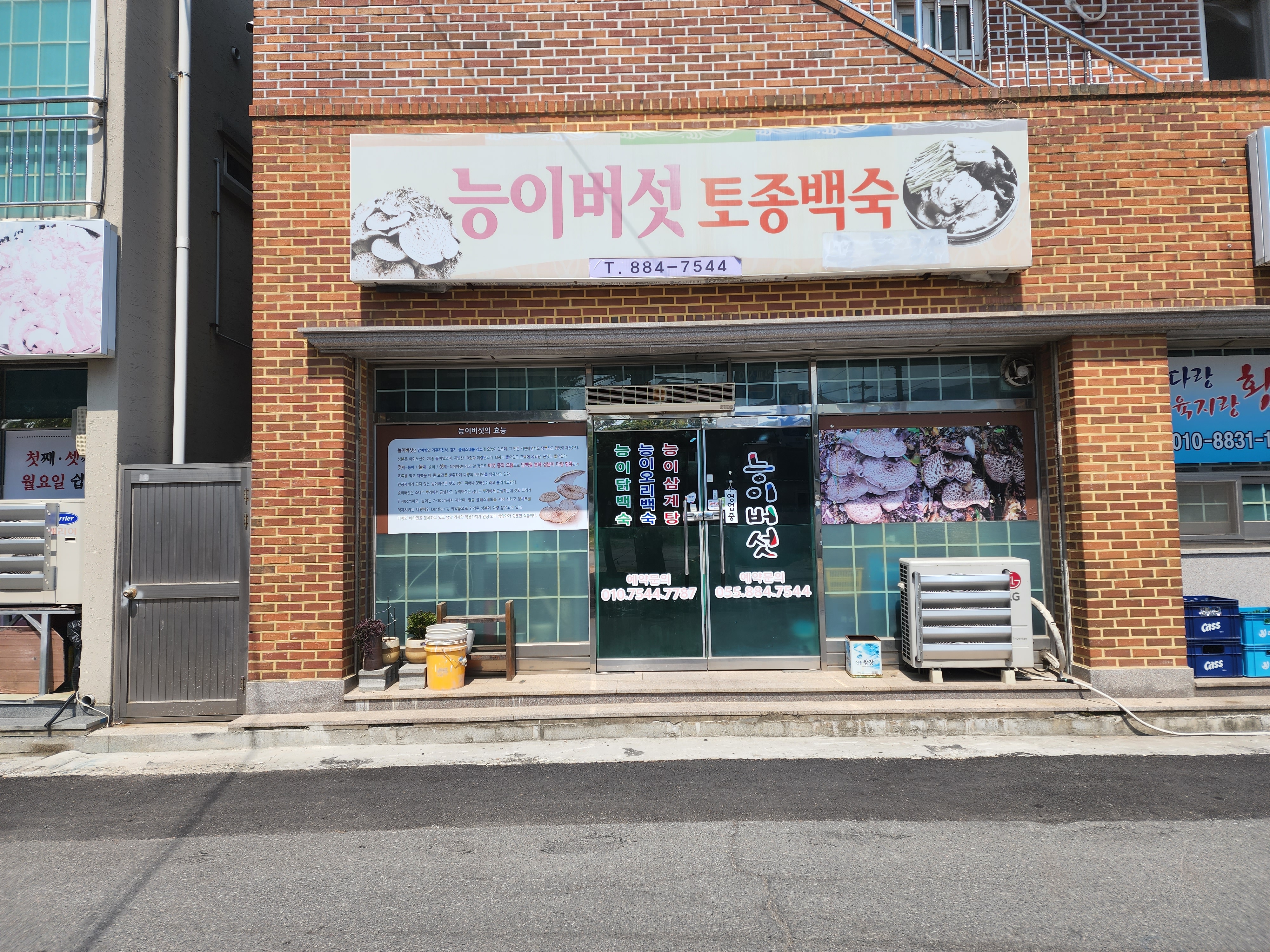 능이버섯 대표 이미지