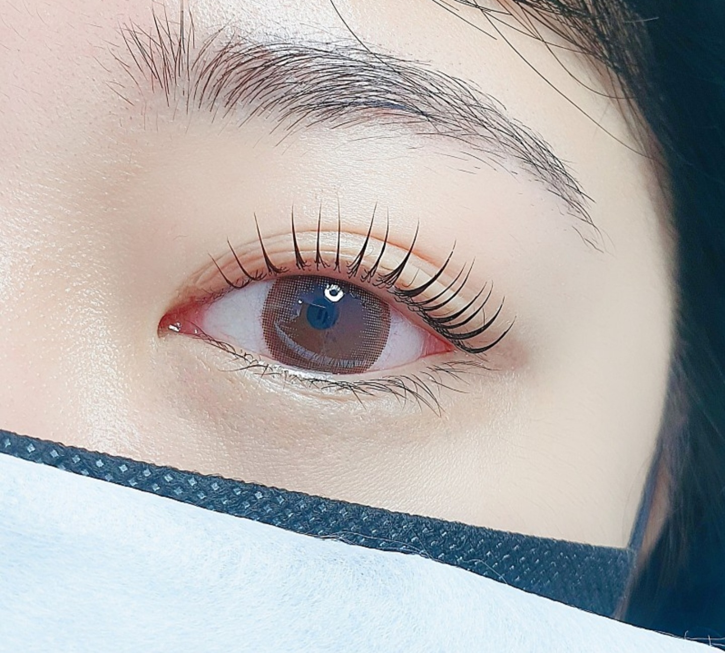 온뷰티샵 눈썹/속눈썹