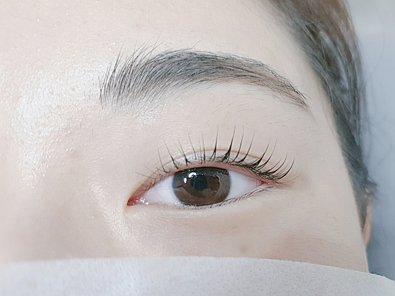온뷰티샵 눈썹/속눈썹