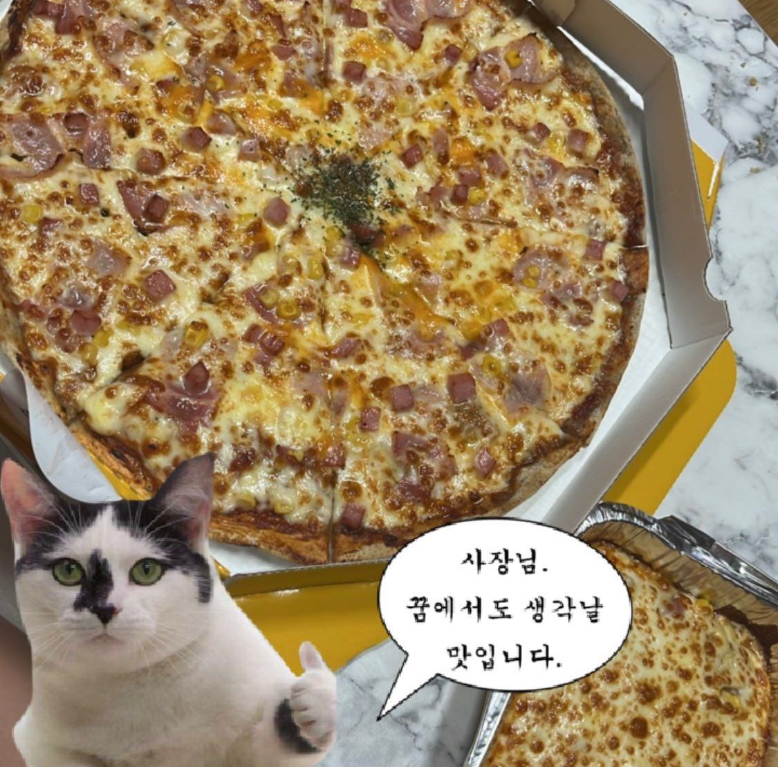 피자는치즈빨 안성점