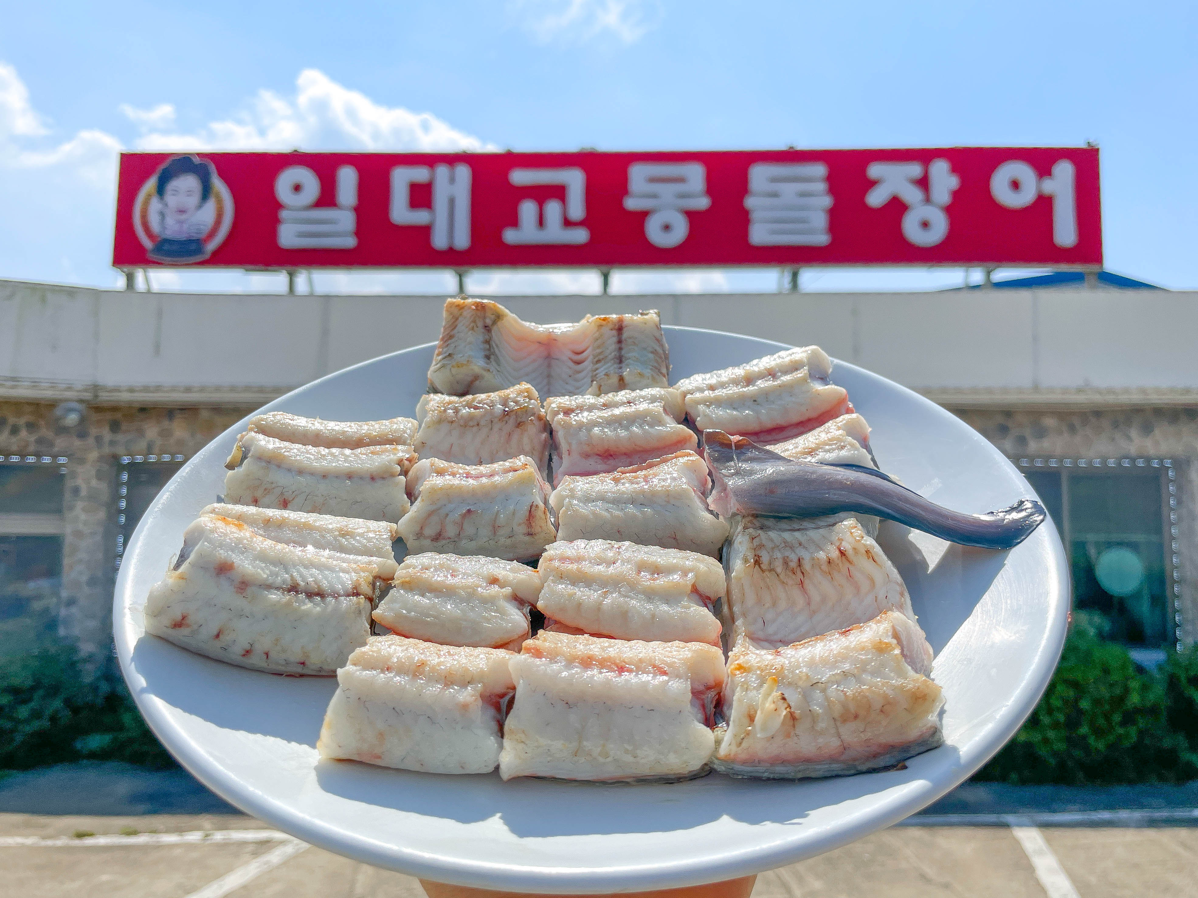일대교몽돌장어