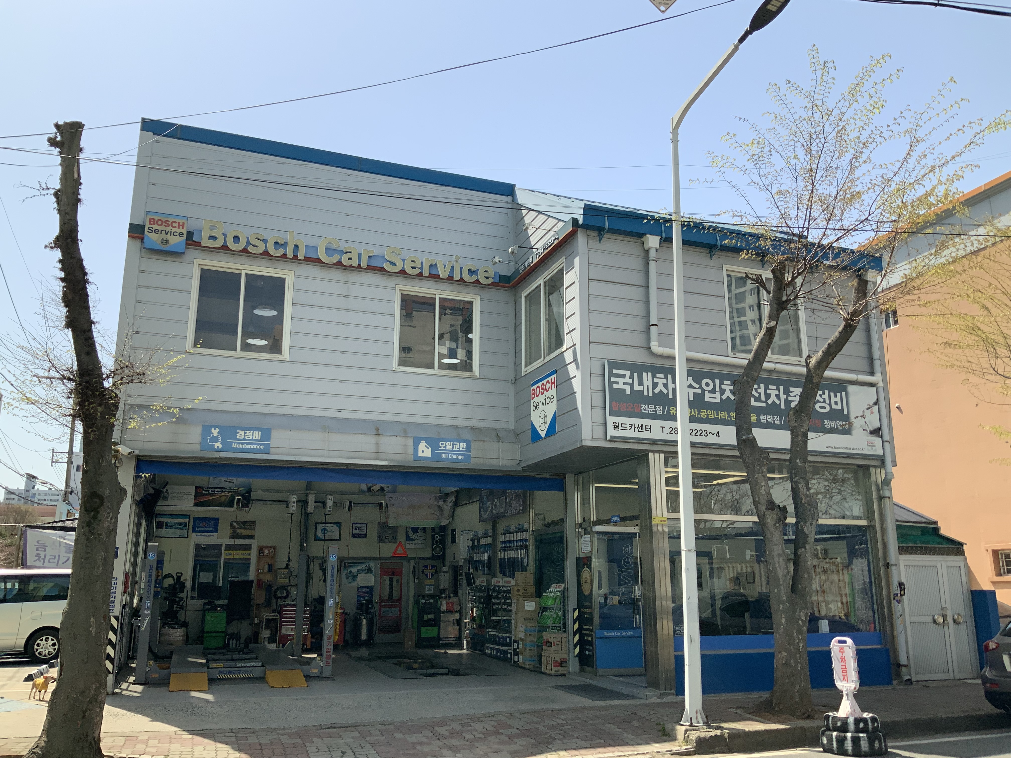 월드카센타