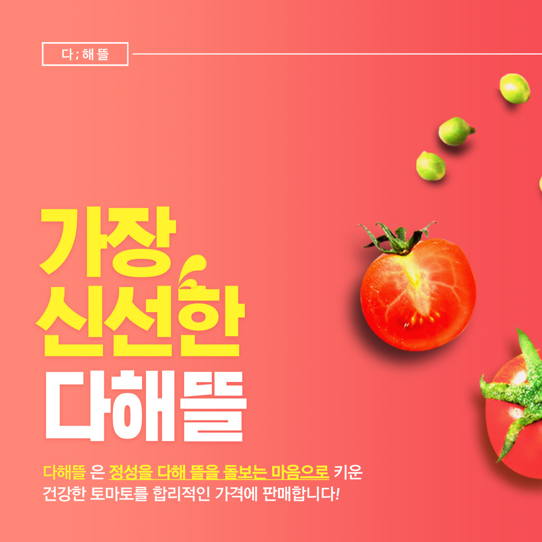 다해뜰
