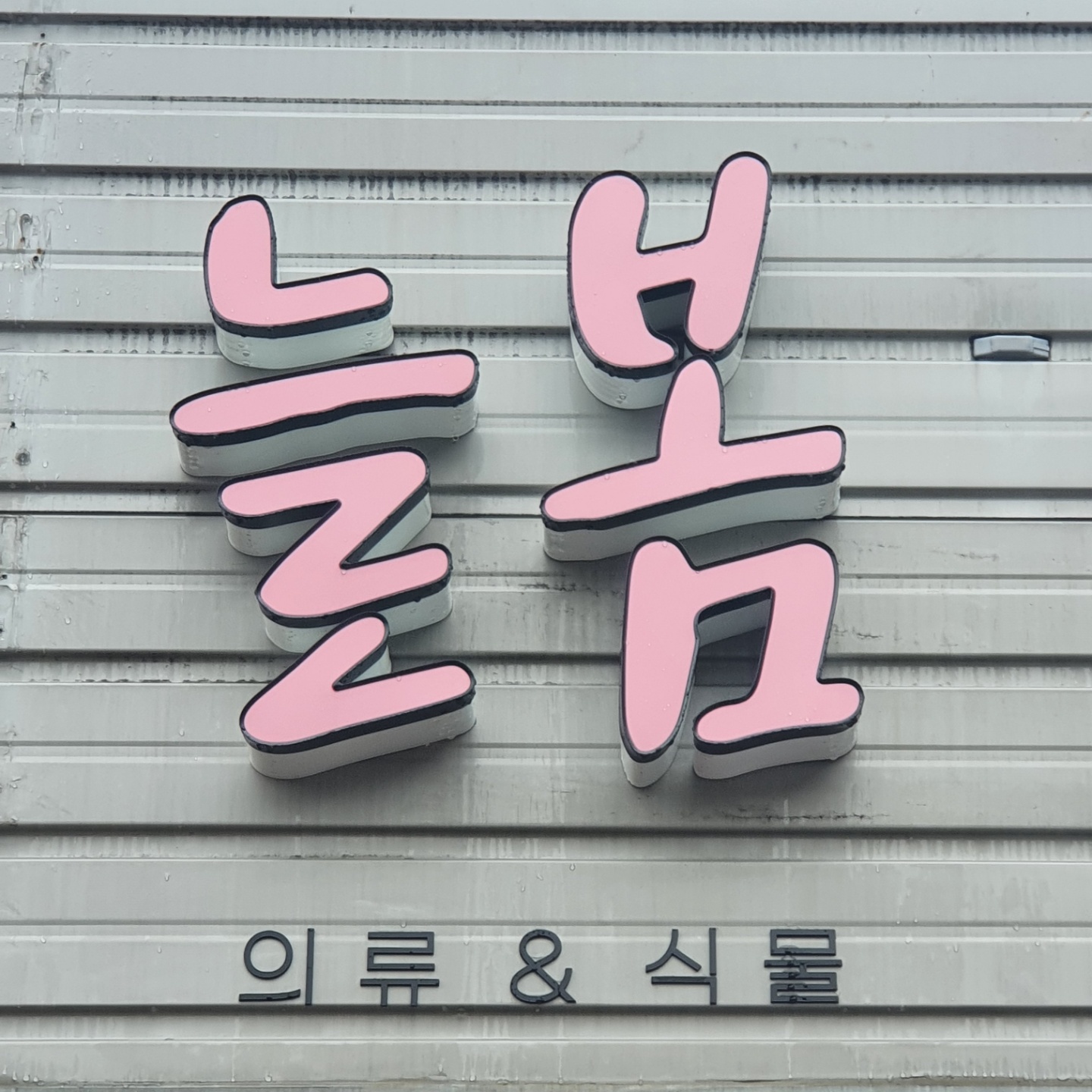 늘봄
