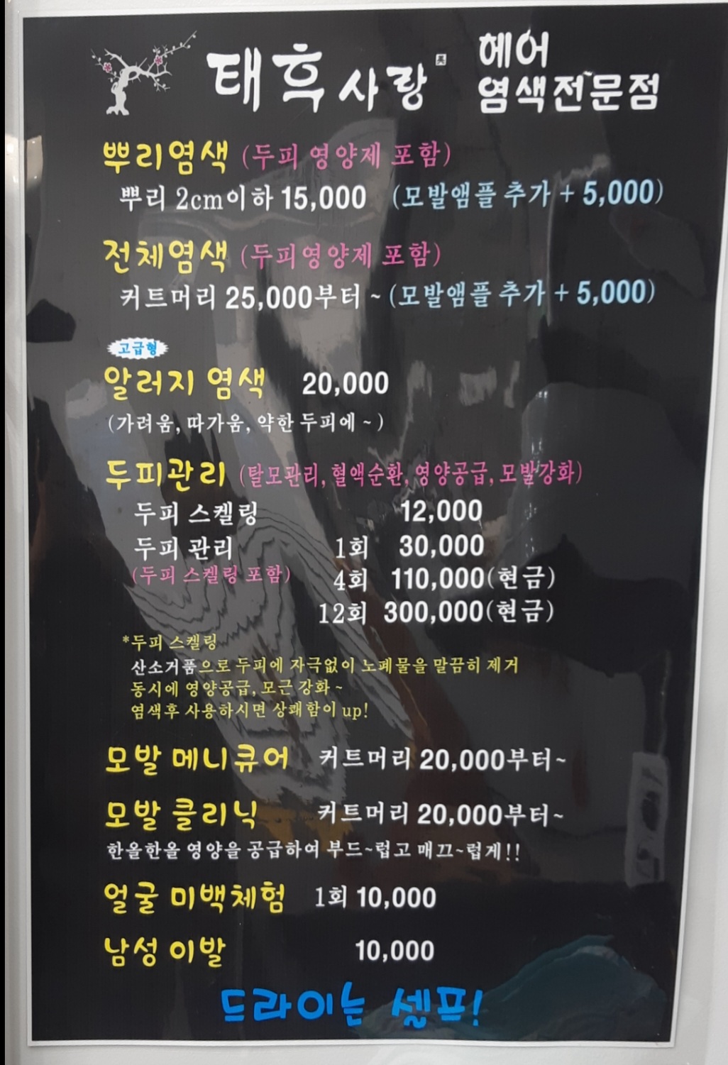 태후사랑