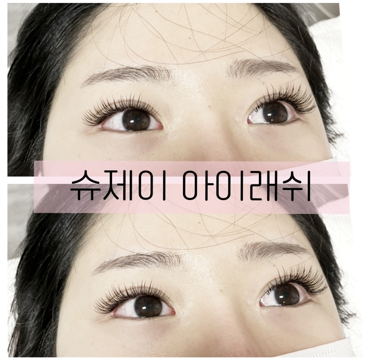 슈제이속눈썹
