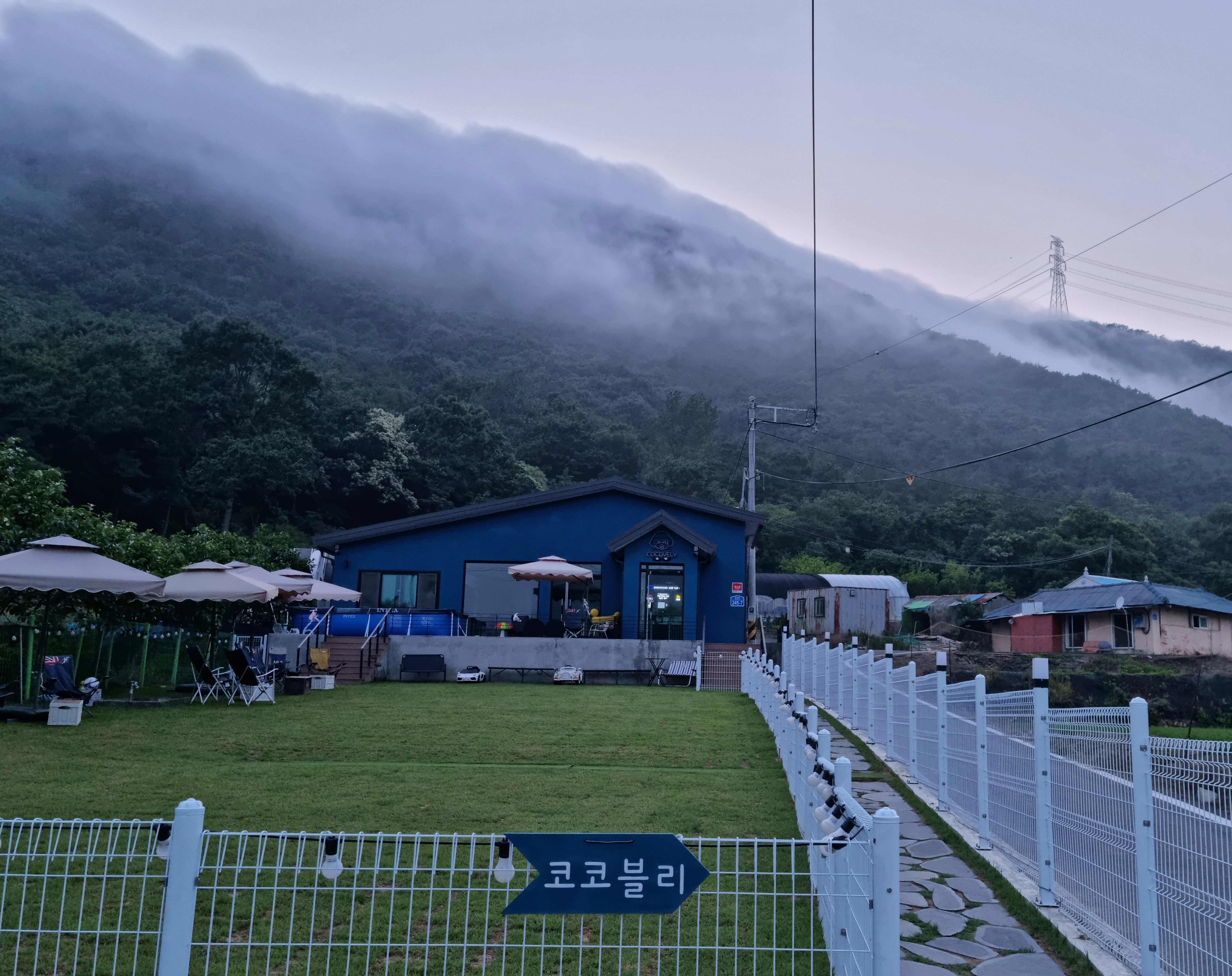 코코블리 애견운동장 충청 애견맛집