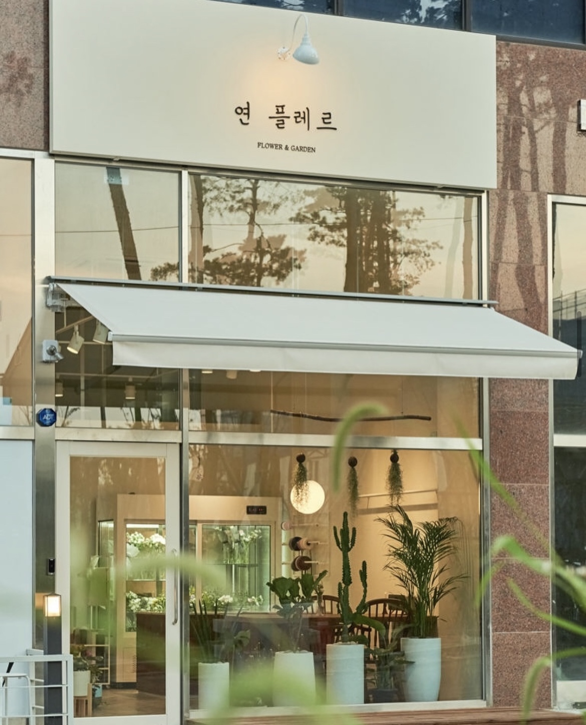 연플레르